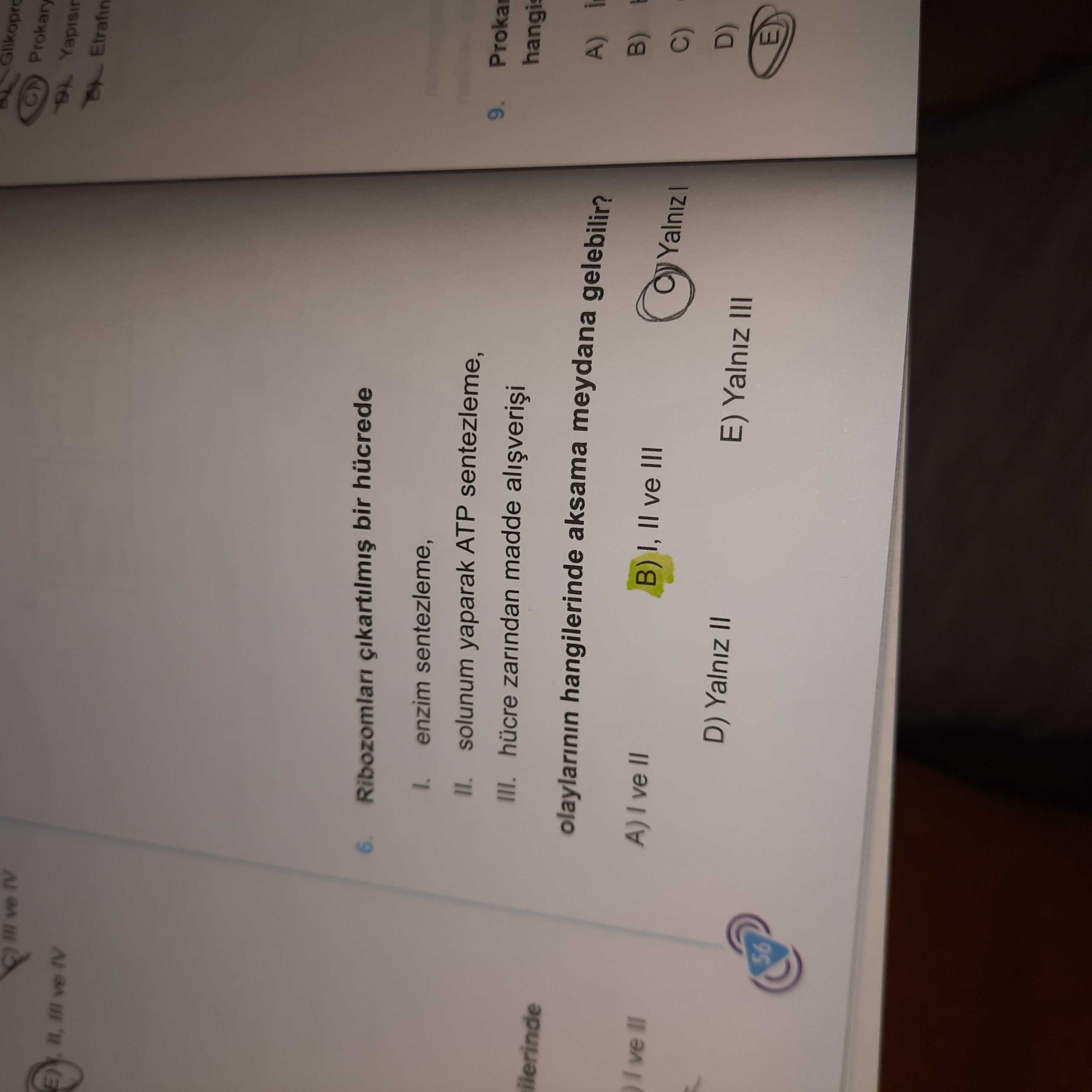 Ribozomları çıkartılmış bir hücrede I. enzim sentezleme, II. solunum yaparak ATP sentezleme, III