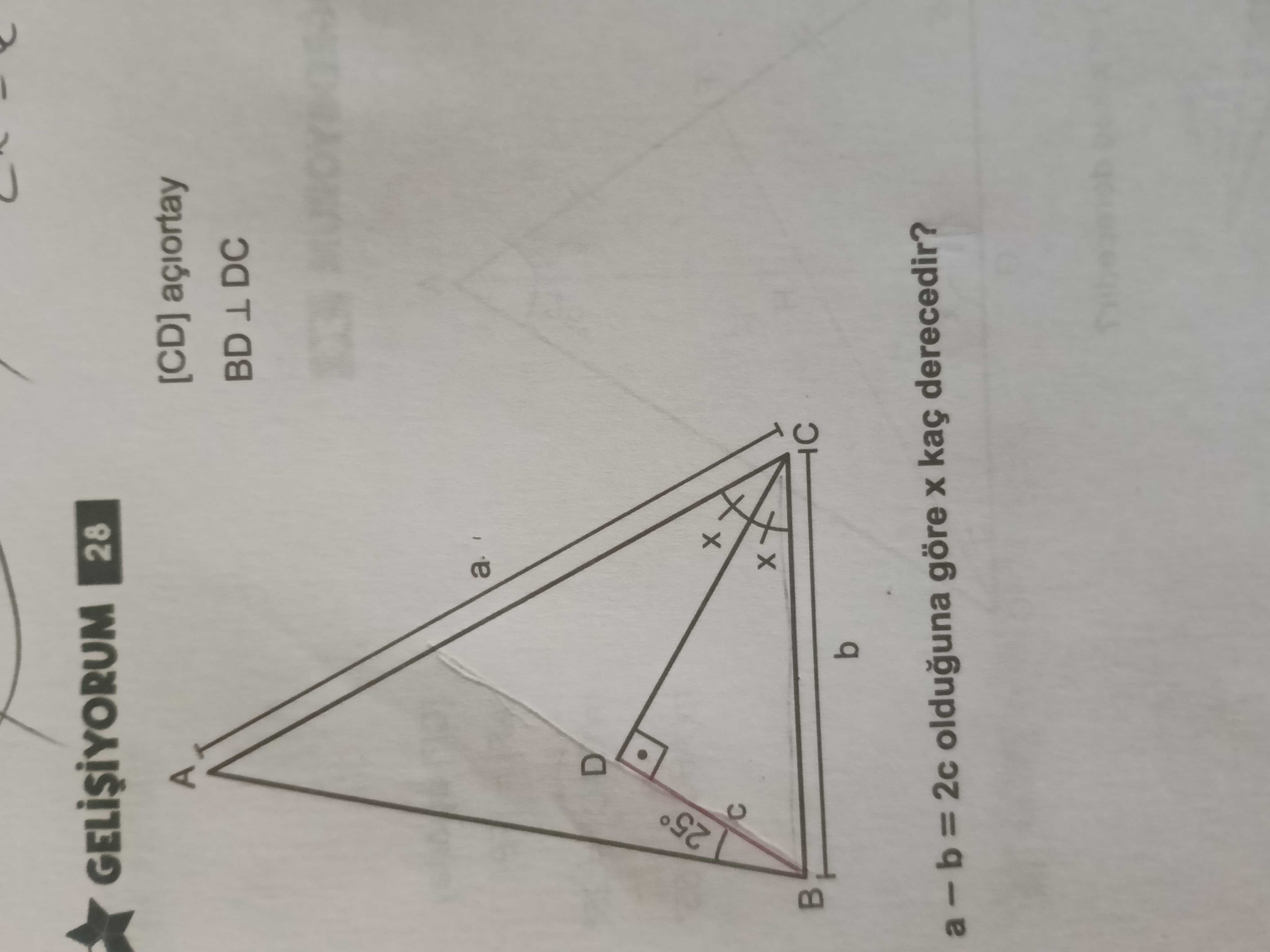 [CD] açıortay BD ⊥ DC a - b = 2c olduğuna göre x kaç derecedir?