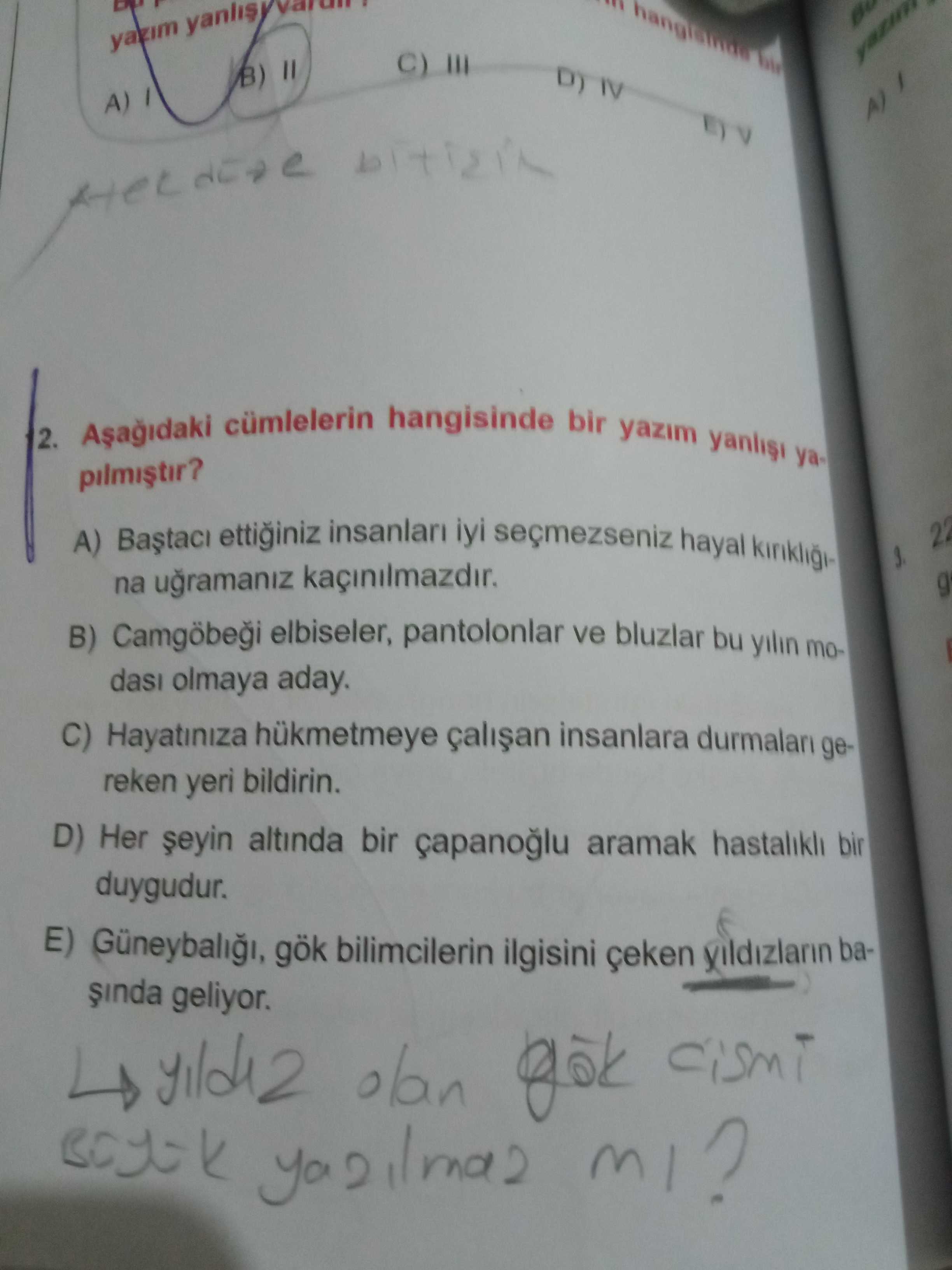 Türkçe (Mezun)