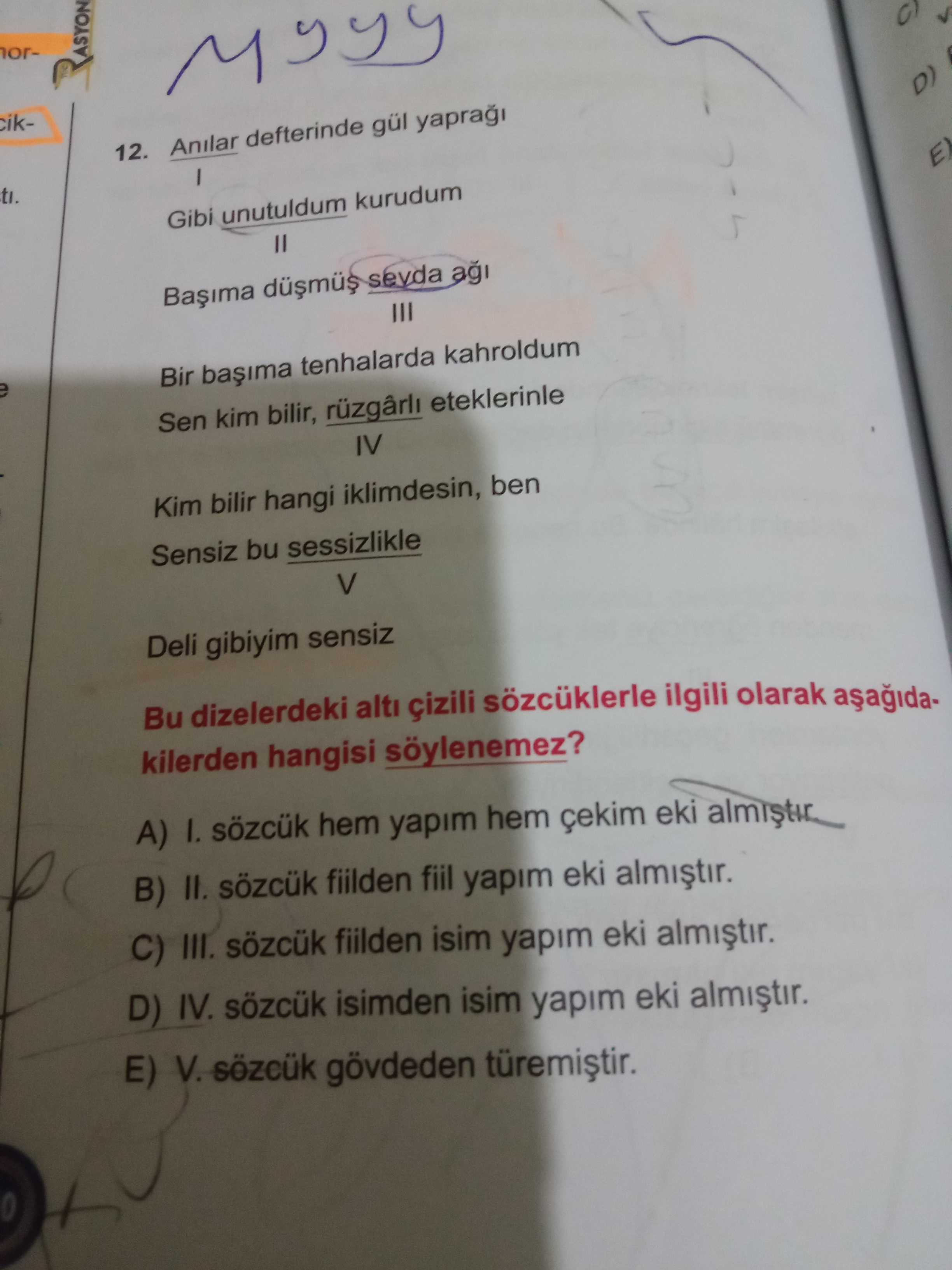 Türkçe (Mezun)