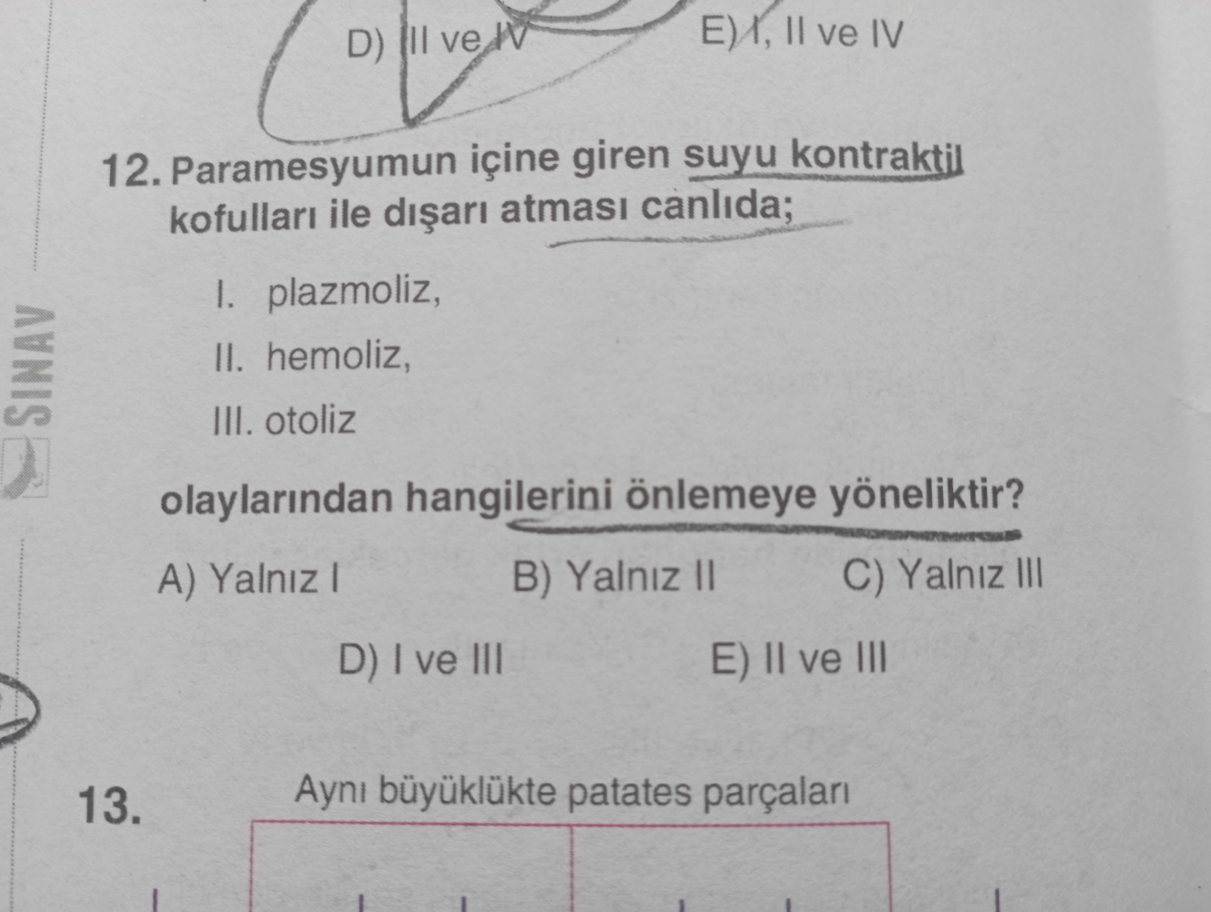 Paramesyumun içine giren suyu kontraktil kofulları ile dışarı atması canlıda; I. plazmoliz, II