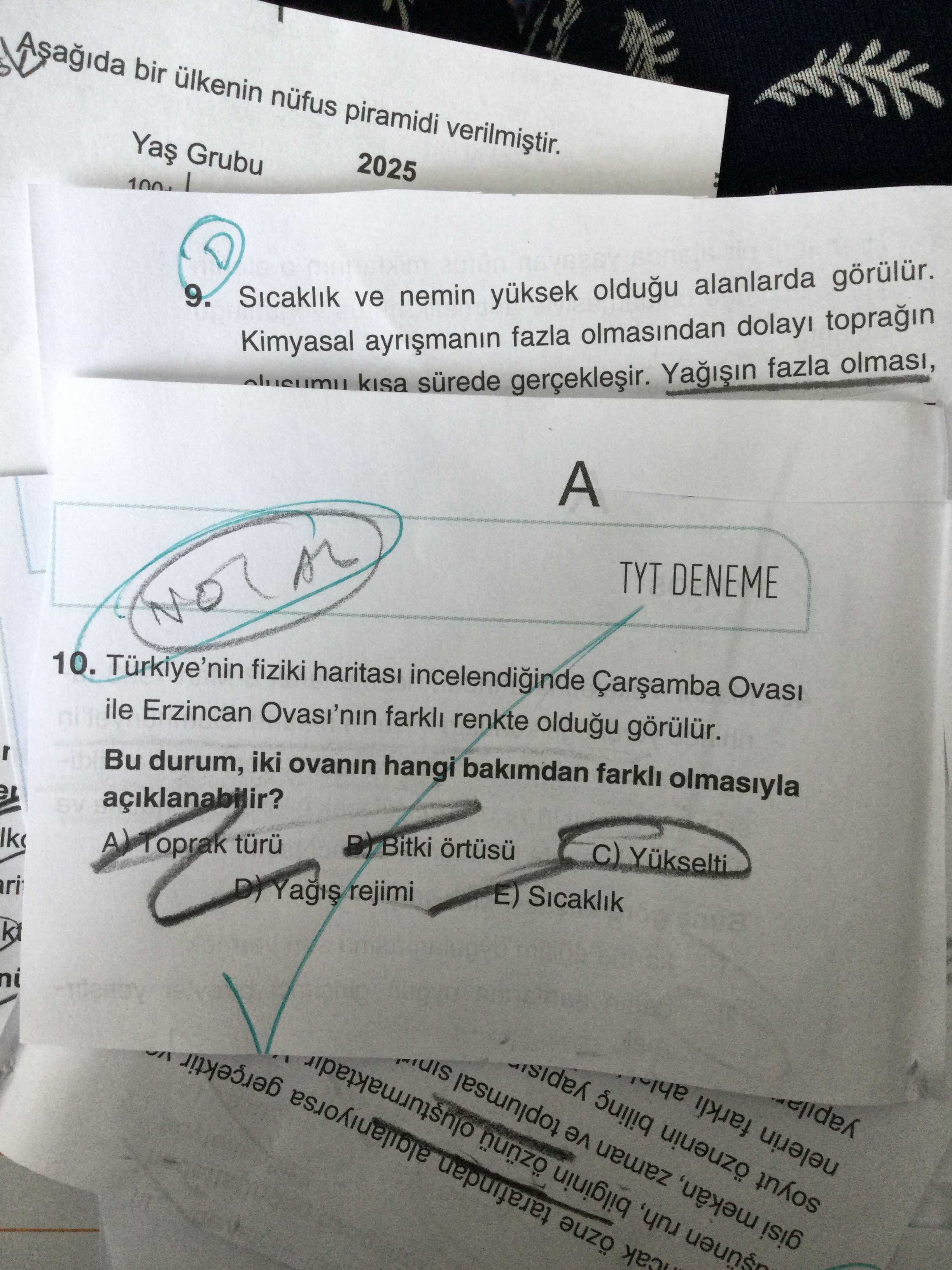 Türkiye'nin fiziki haritası incelendiğinde Çarşamba Ovası ile Erzincan Ovası'nın farklı renkte
