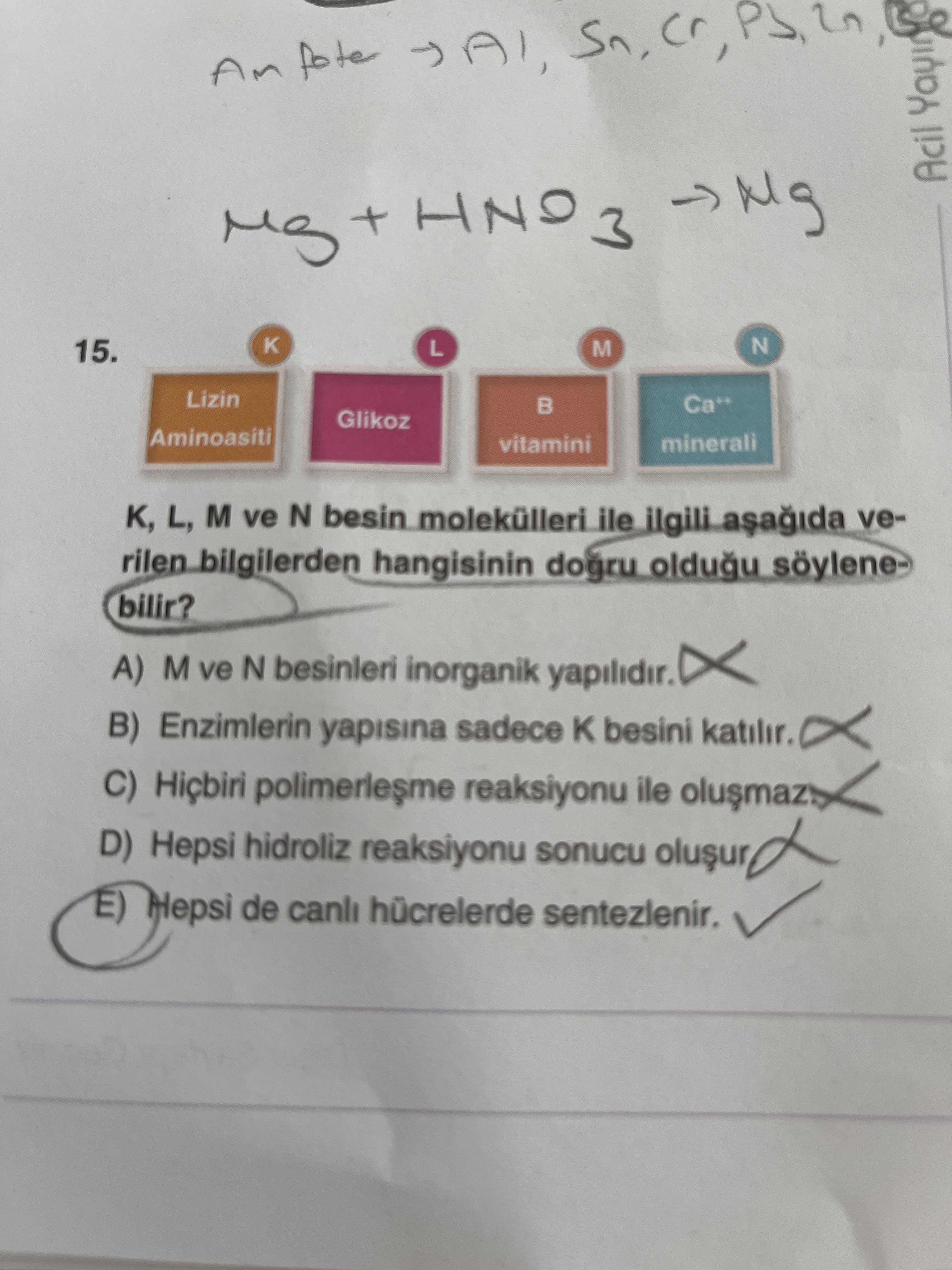 K, L, M ve N besin molekülleri ile ilgili aşağıda verilen bilgilerden hangisinin doğru olduğu