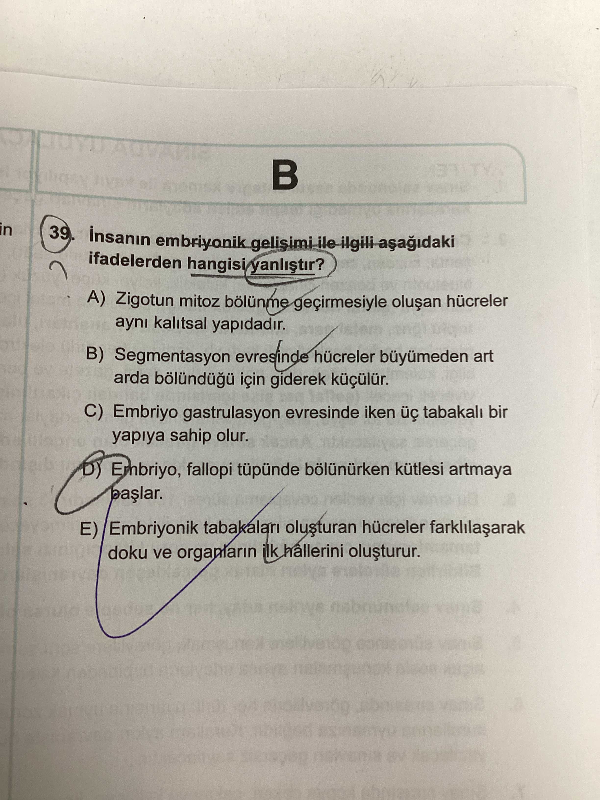 İnsanın embriyonik gelişimi ile ilgili aşağıdaki ifadelerden hangisi yanlıştır?