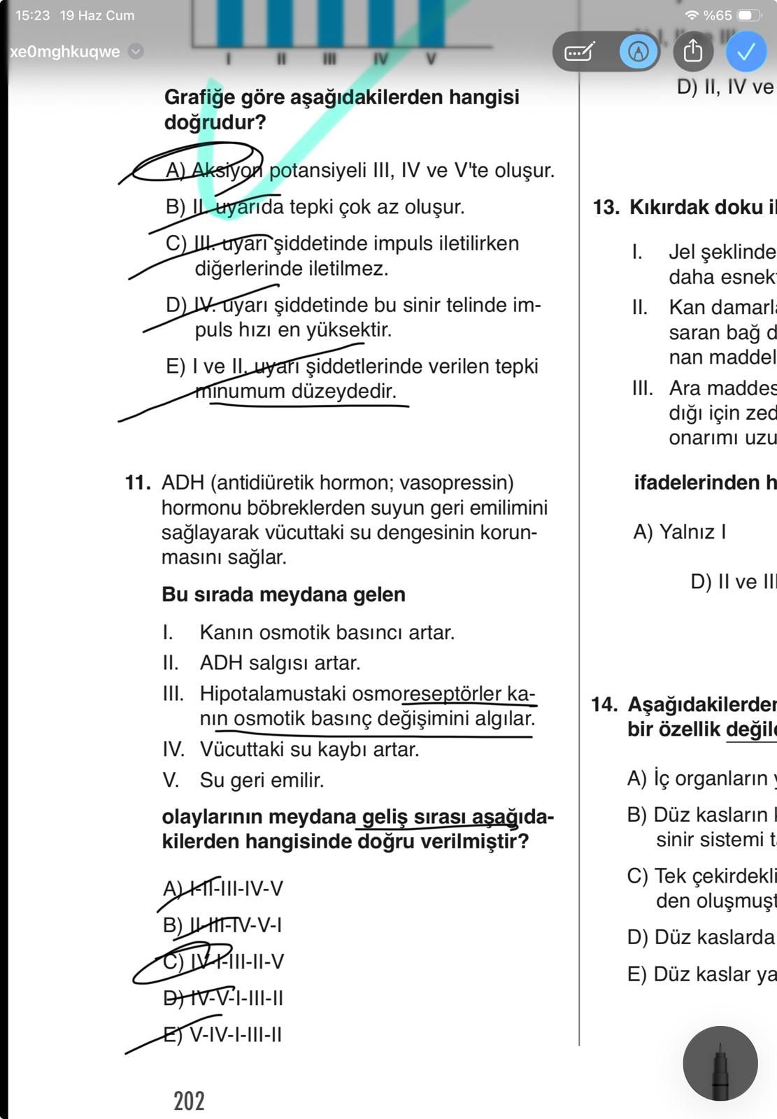 Grafiğe göre aşağıdakilerden hangisi doğrudur?
