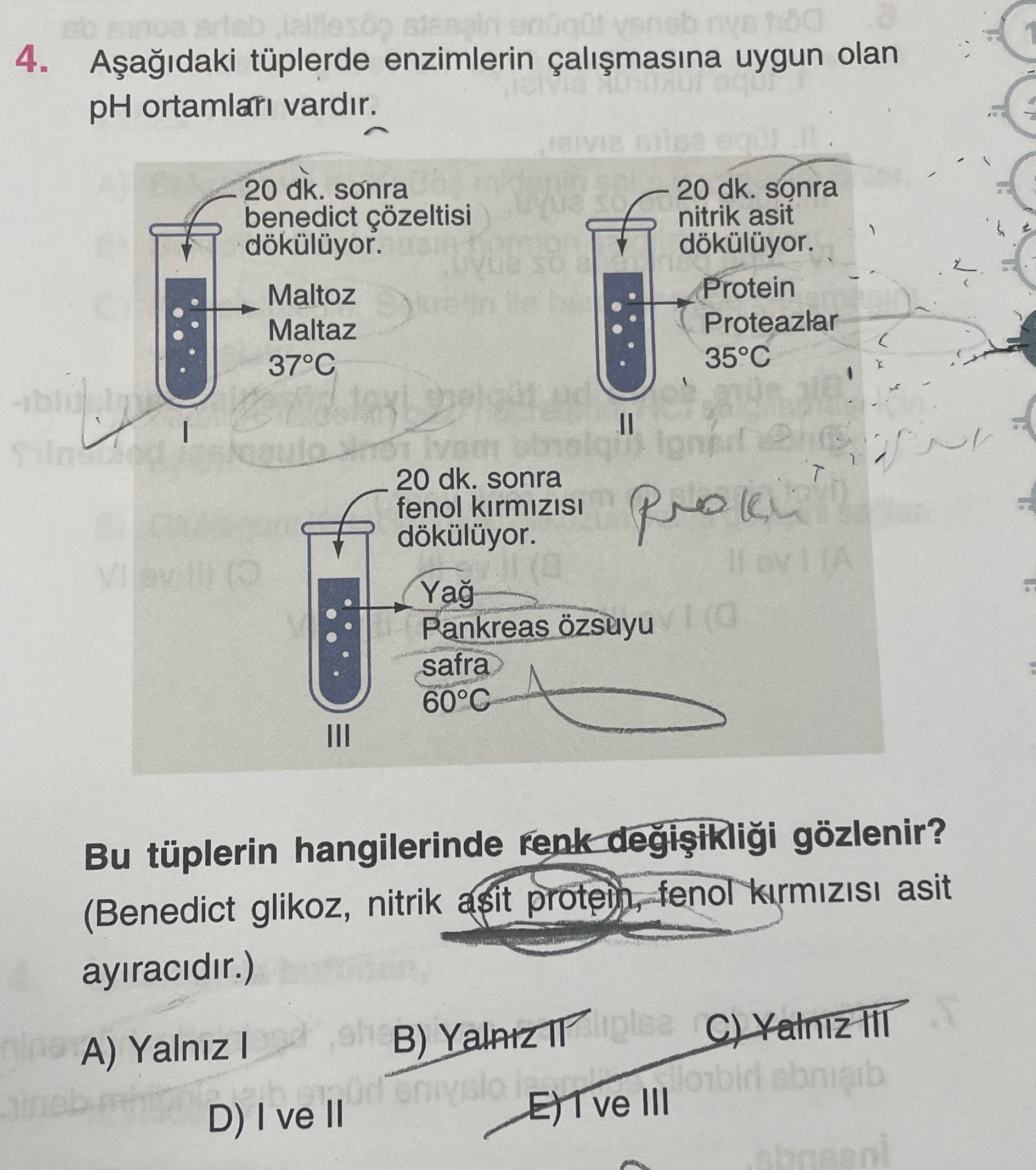Aşağıdaki tüplerde enzimlerin çalışmasına uygun olan pH ortamları vardır. 20 dk. sonra benedict