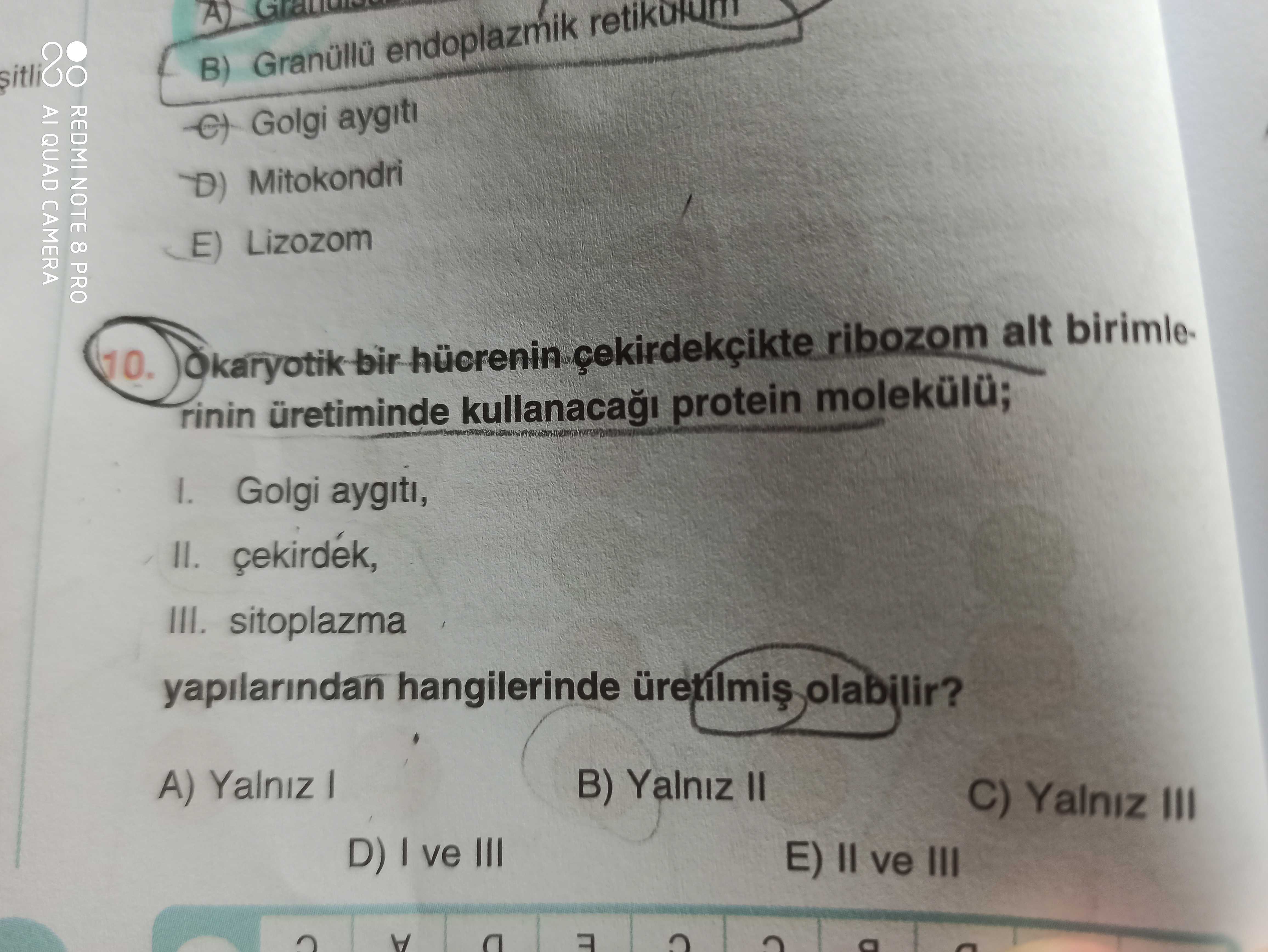 Biyoloji (11. Sınıf)