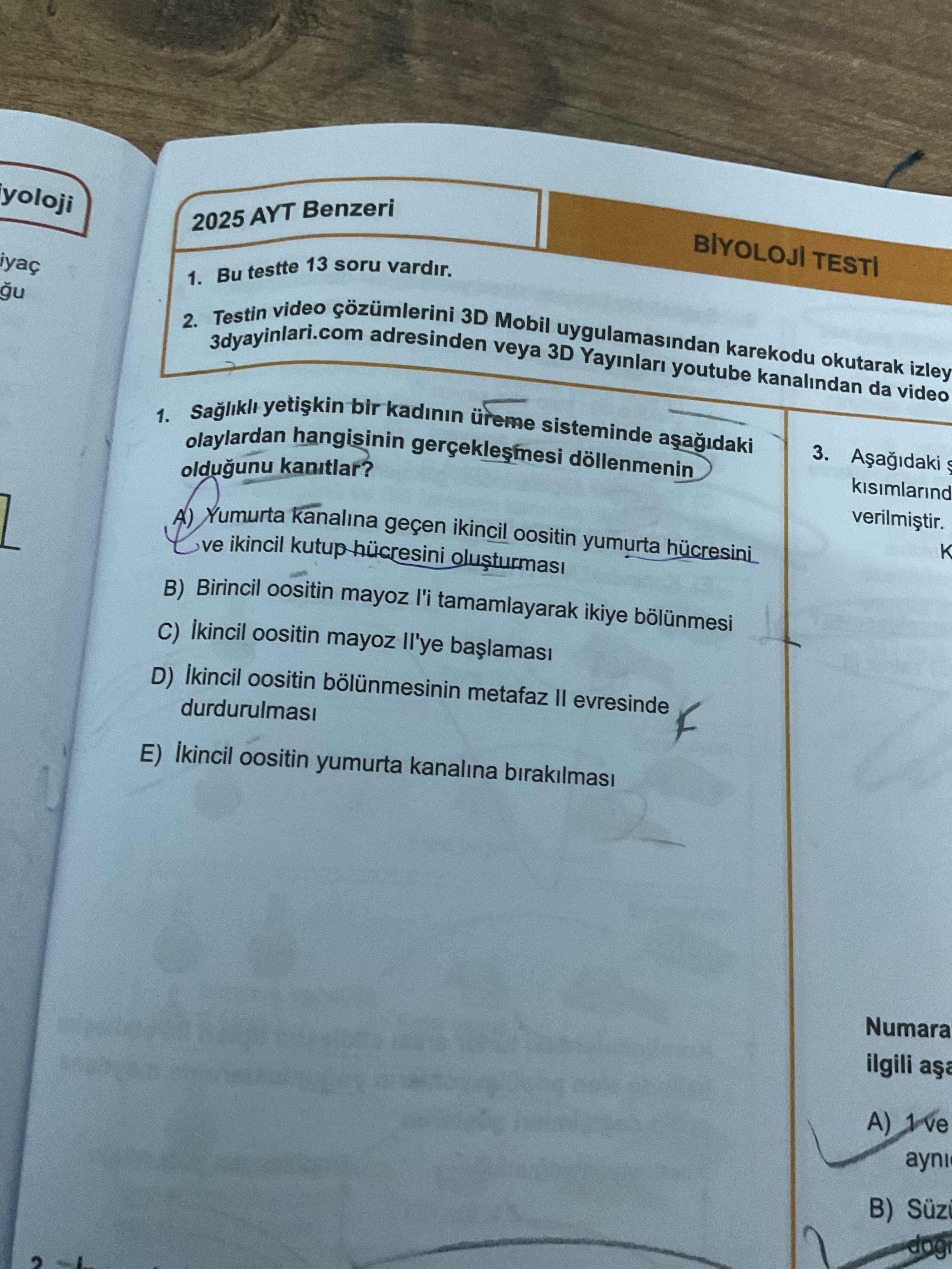Sağlıklı yetişkin bir kadının üreme sisteminde aşağıdaki olaylardan hangisinin gerçekleşmesi