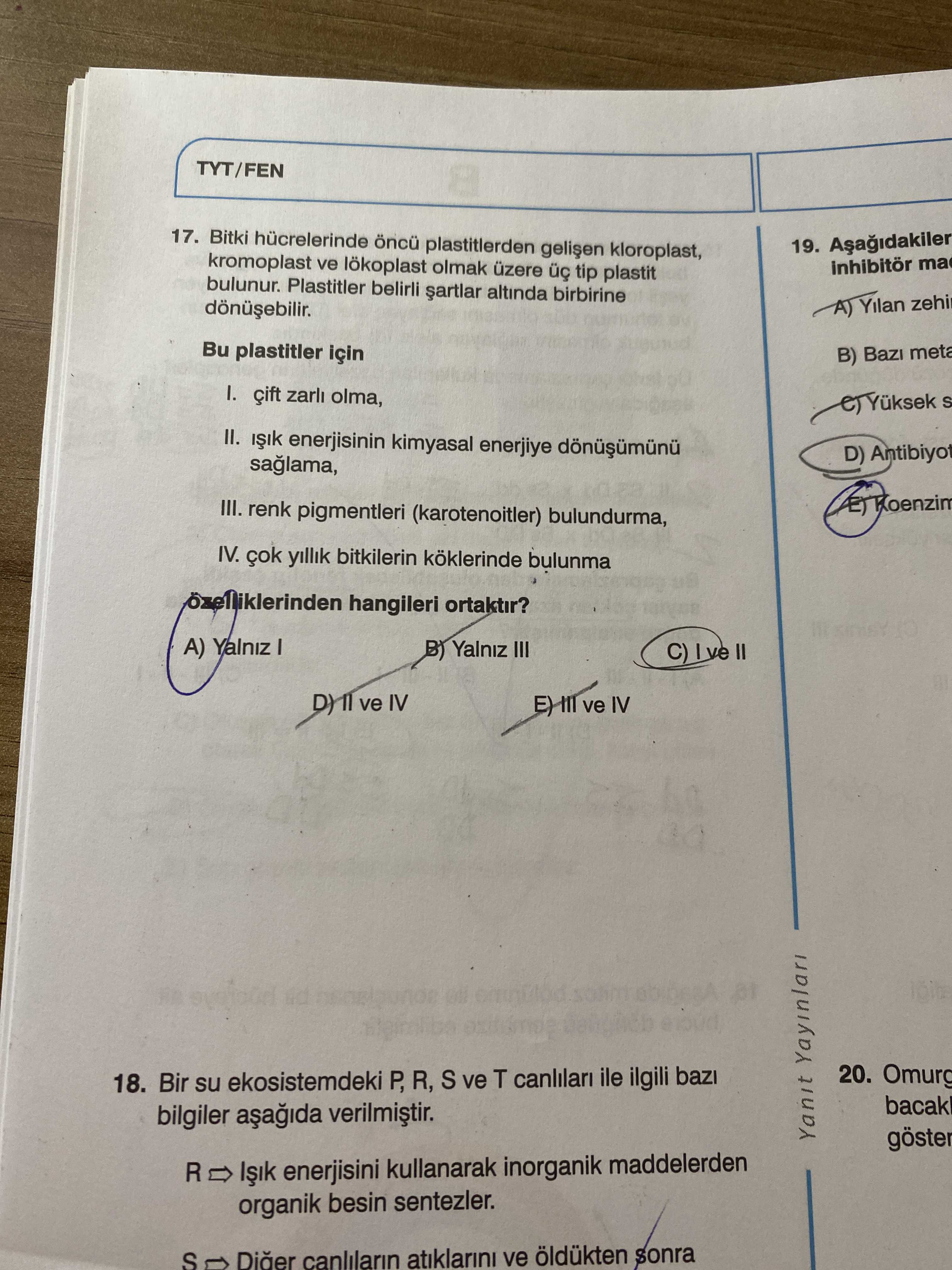 Bitki hücrelerinde öncü plastitlerden gelişen kloroplast, kromoplast ve lökoplast olmak üzere üç tip