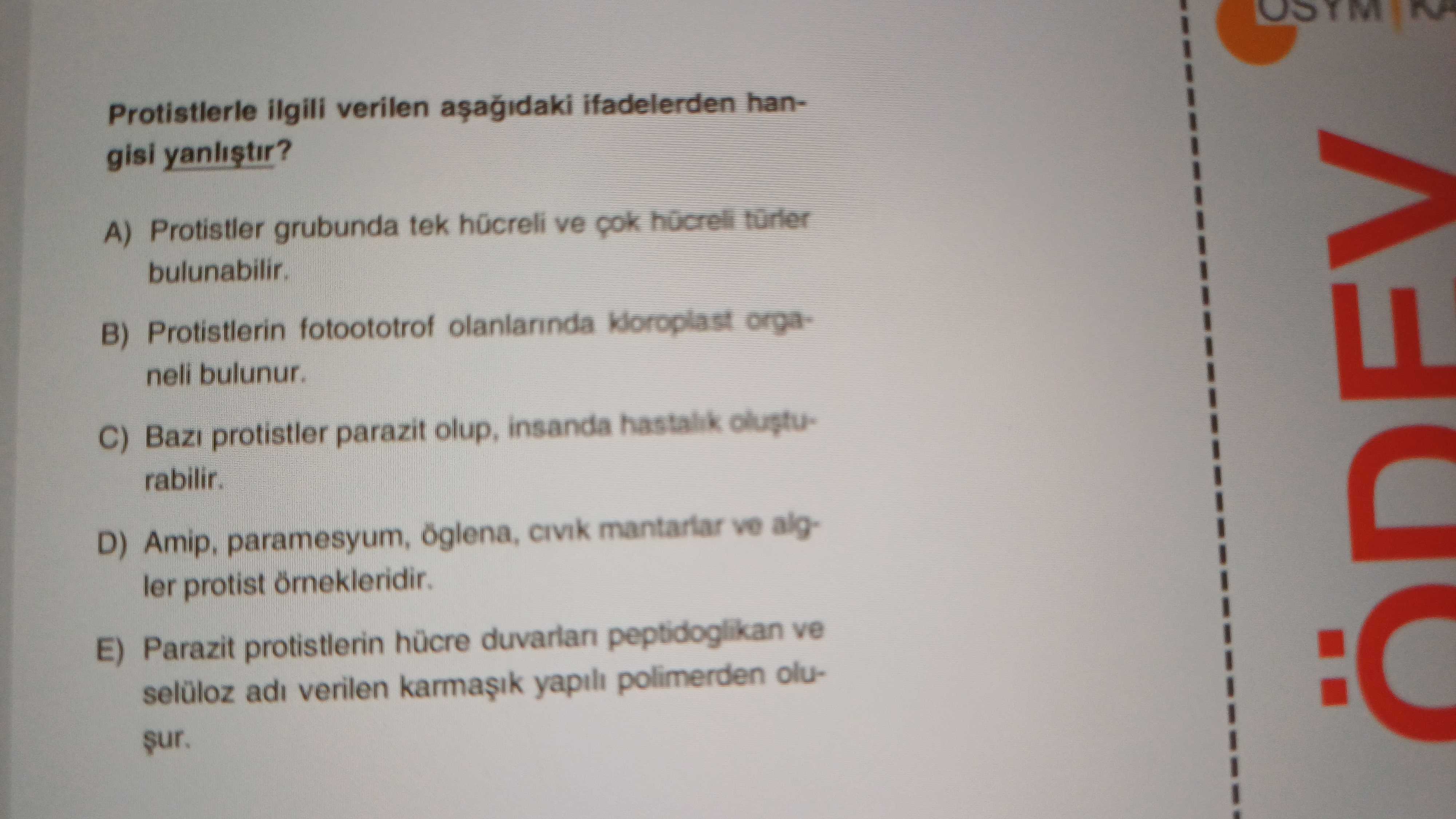 Protistlerle ilgili verilen aşağıdaki ifadelerden hangisi yanlıştır?