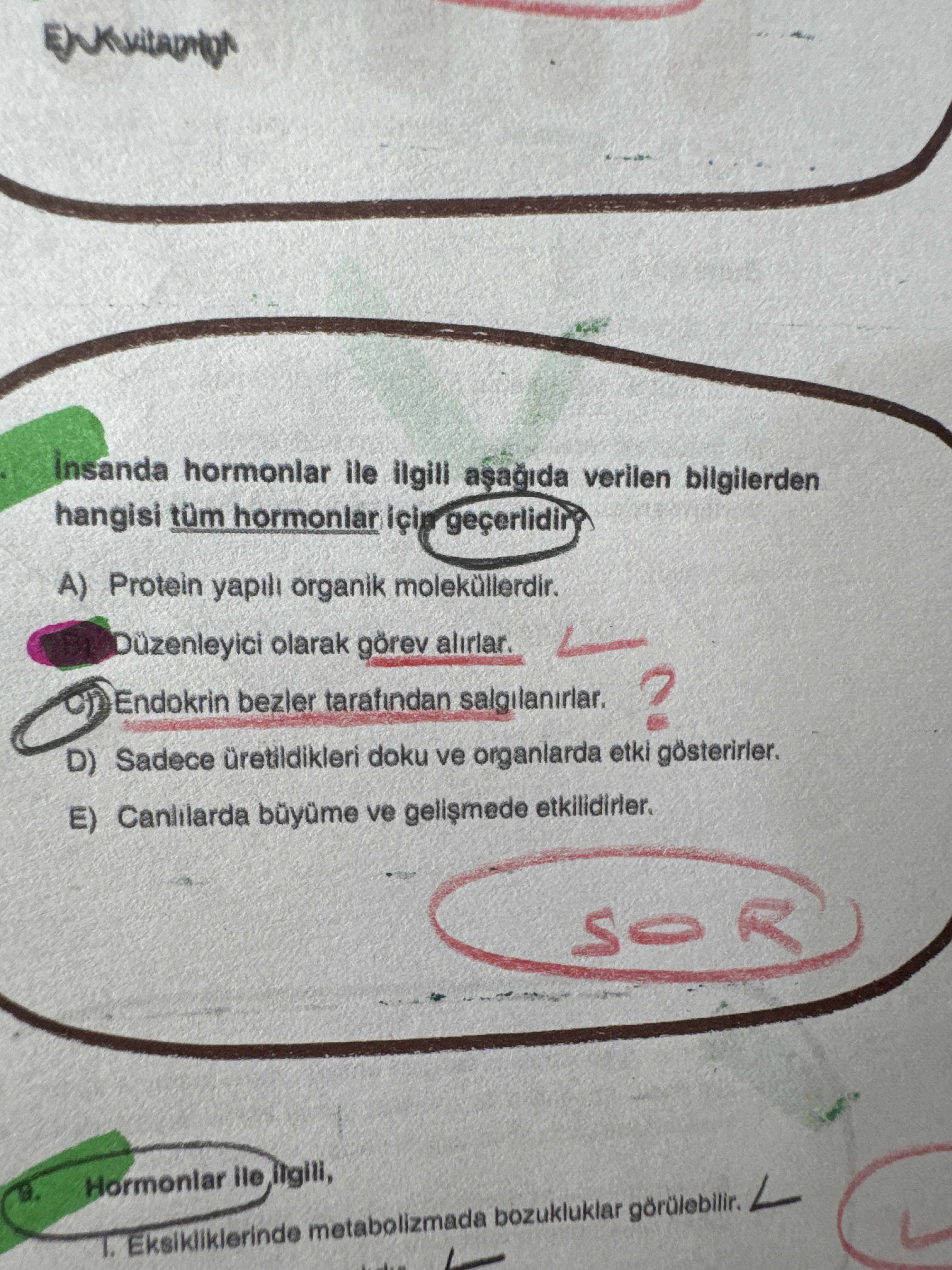 Biyoloji (12. Sınıf)