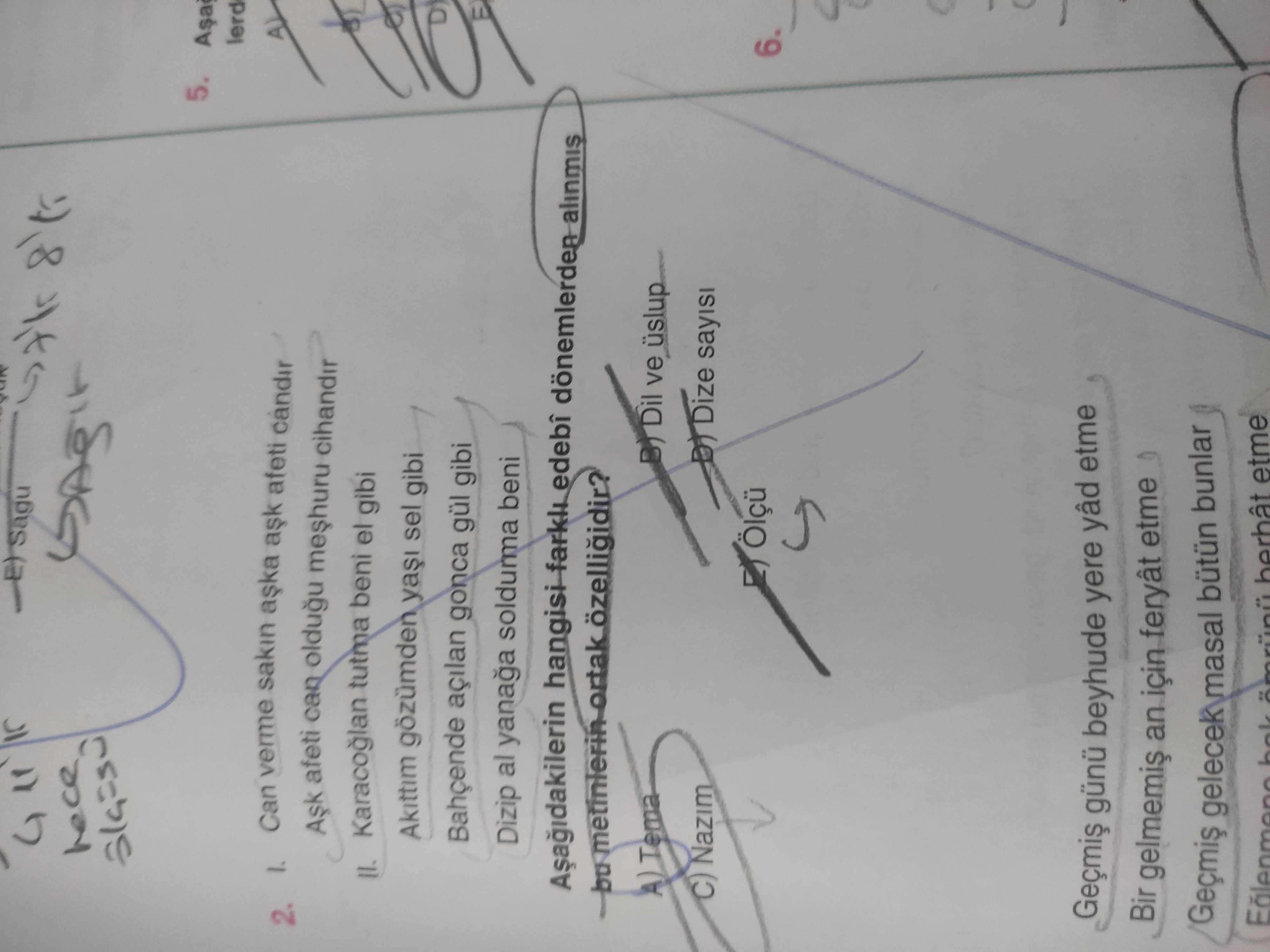 Türk Dili ve Edebiyatı  (11. Sınıf)