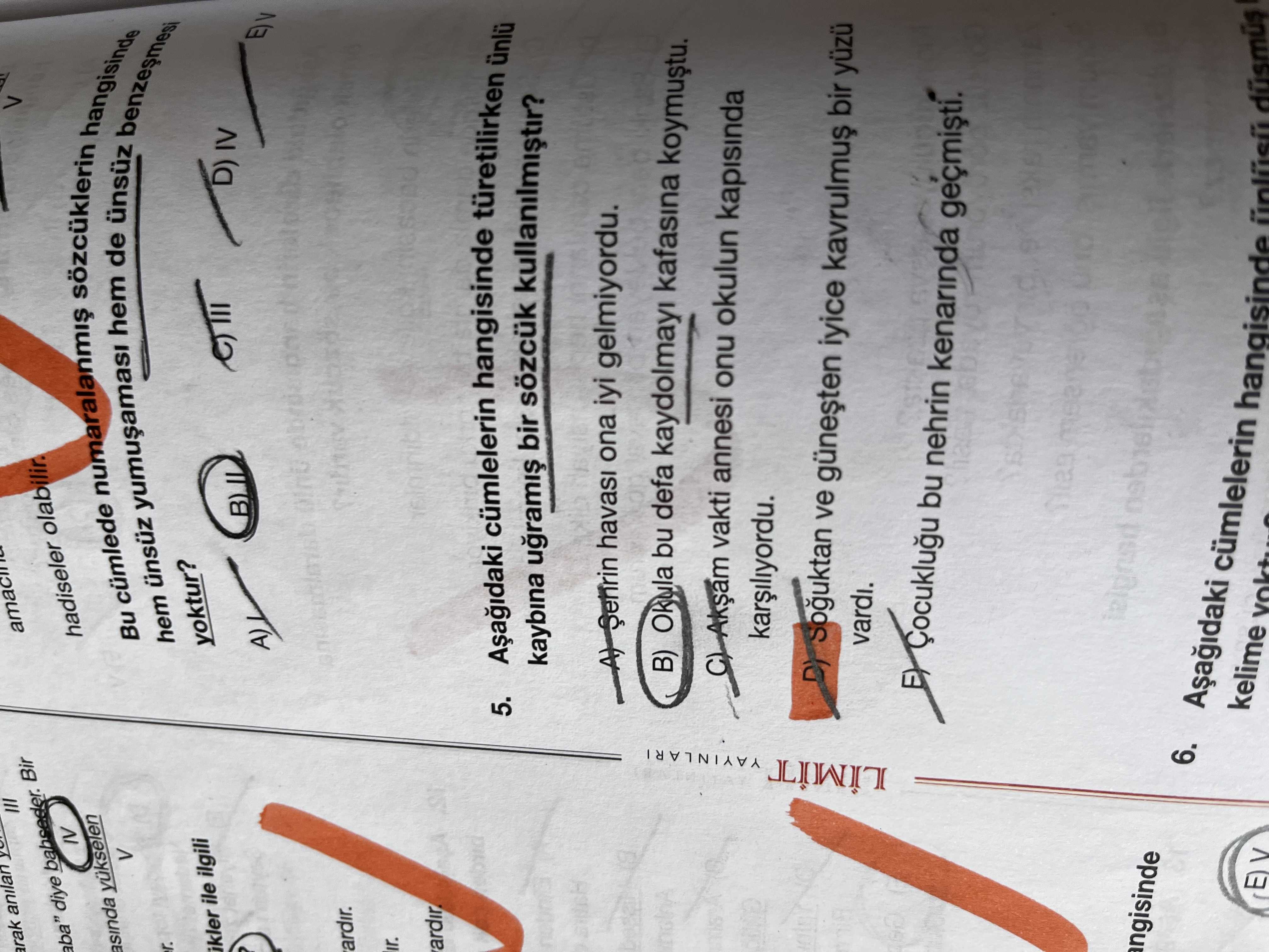 Türkçe (12. Sınıf)
