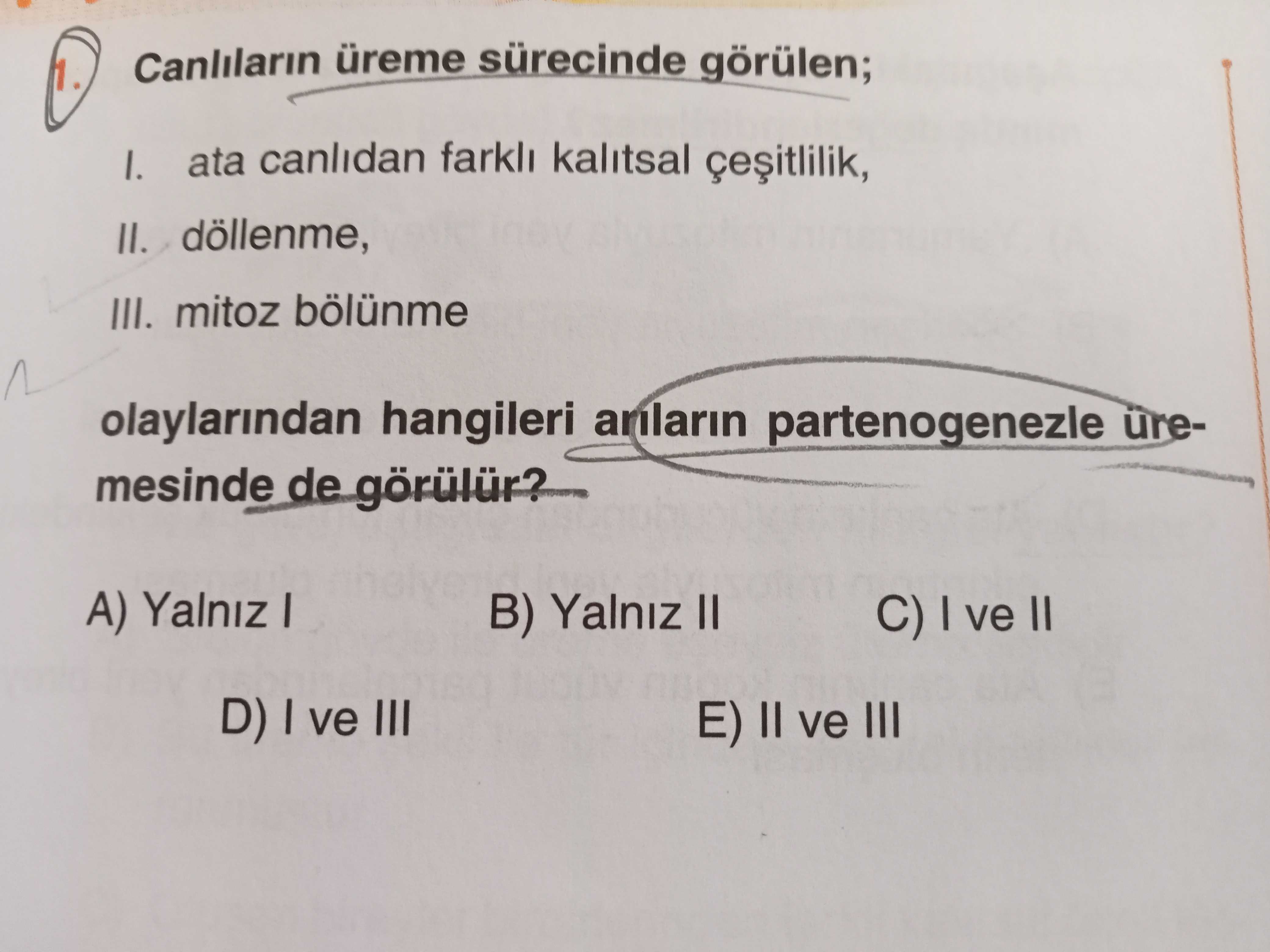 Biyoloji (12. Sınıf)