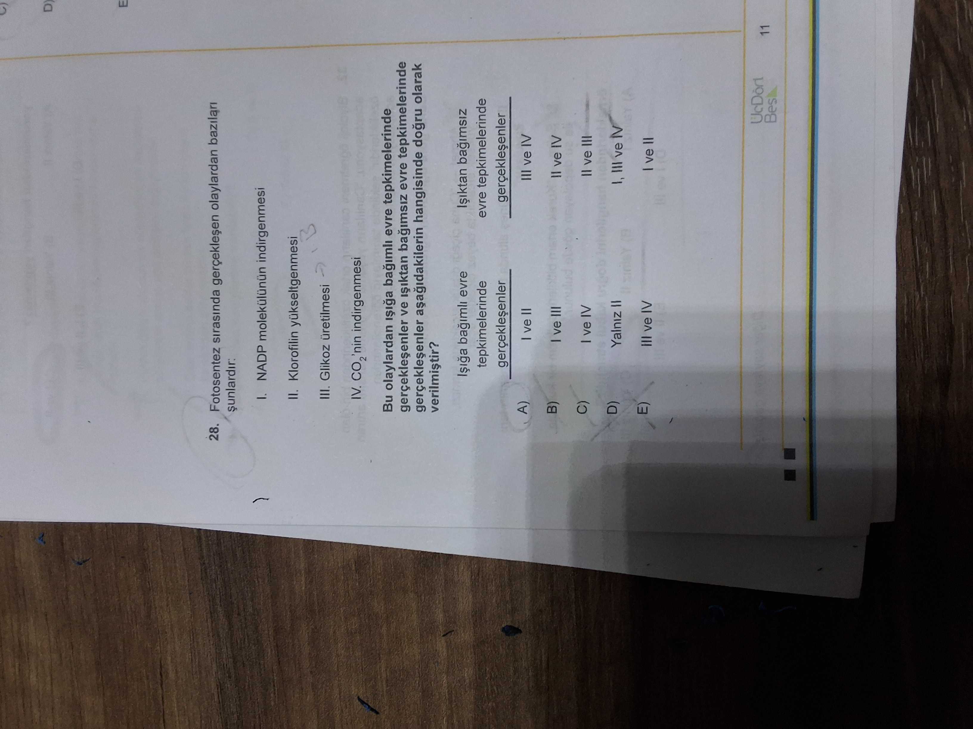 Fotosentez sırasında gerçekleşen olaylardan bazıları şunlardır: I. NADP molekülünün indirgenmesi II