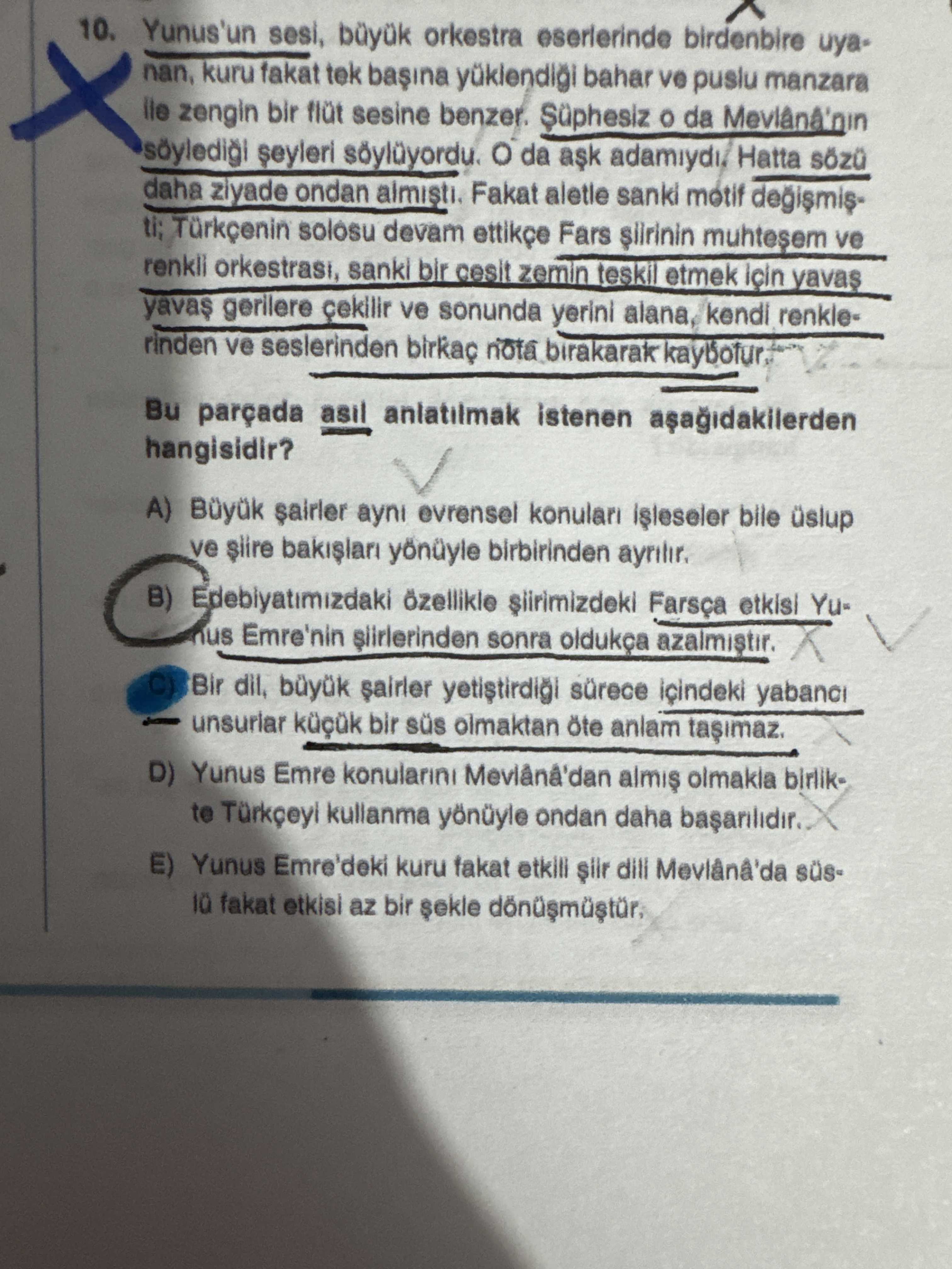 Türkçe (12. Sınıf)