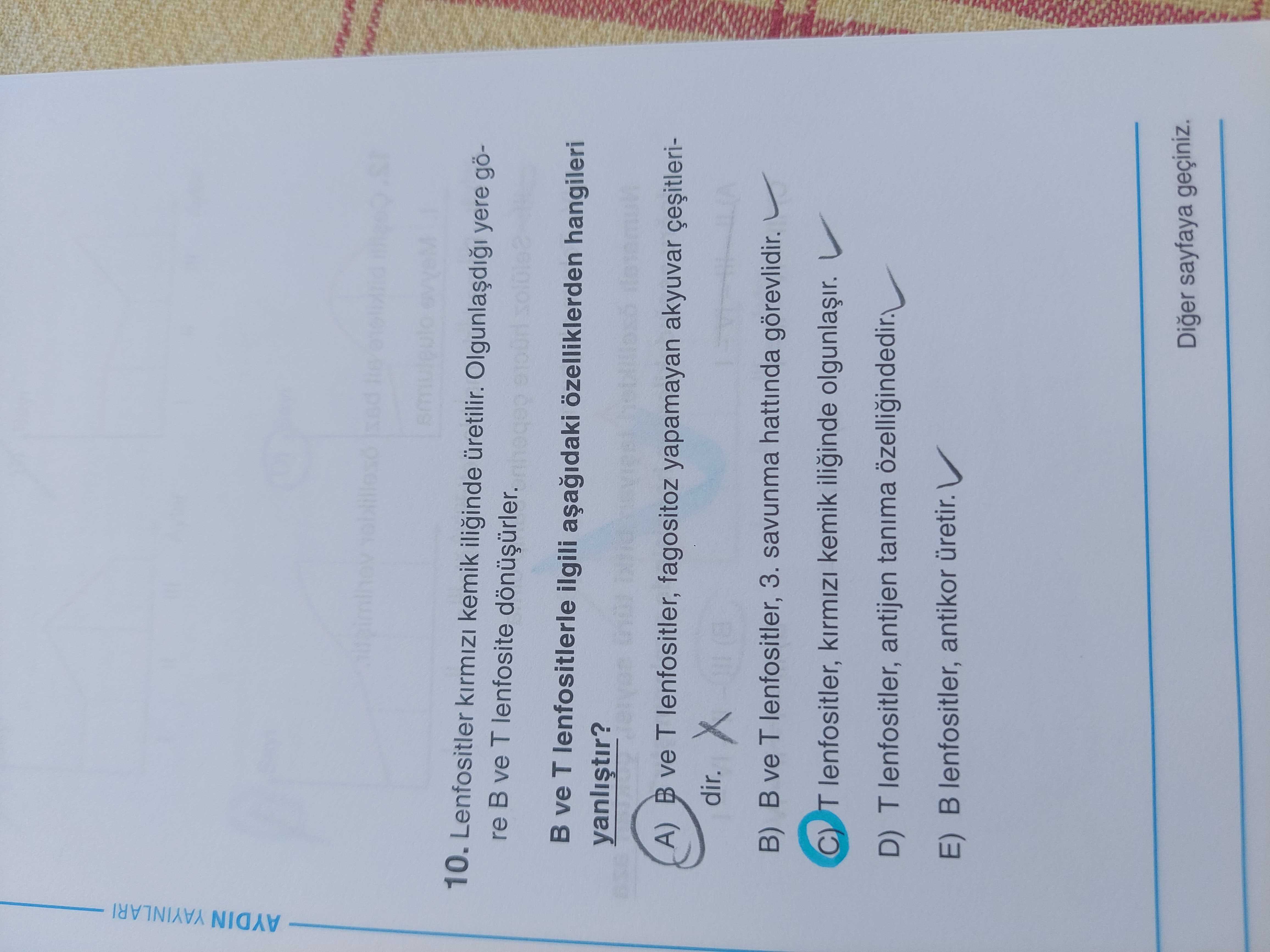 Lenfositler kırmızı kemik iliğinde üretilir. Olgunlaşdığı yere göre B ve T lenfosite dönüşürler. B