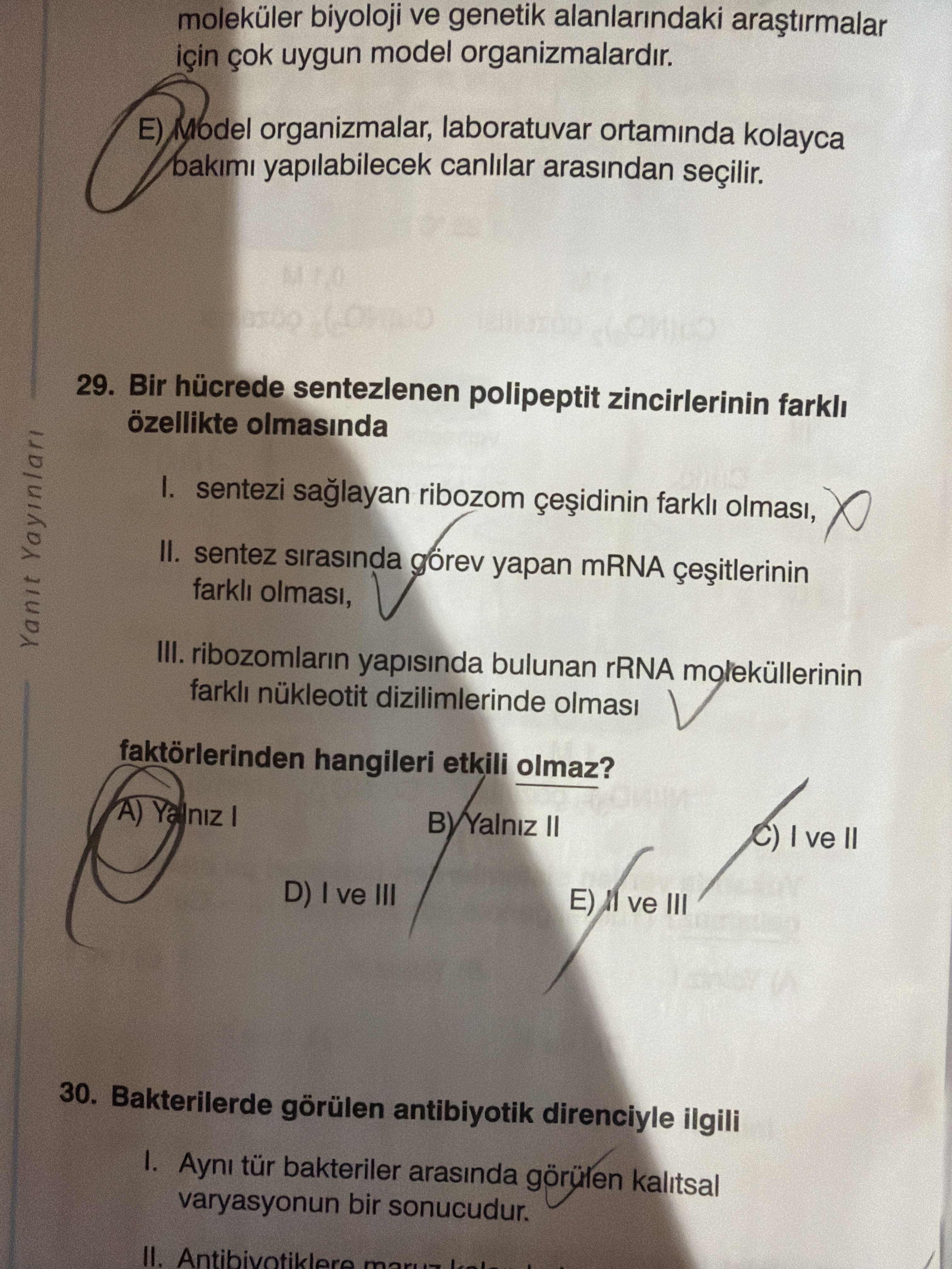 Bir hücrede sentezlenen polipeptit zincirlerinin farklı özellikte olmasında I. sentezi sağlayan