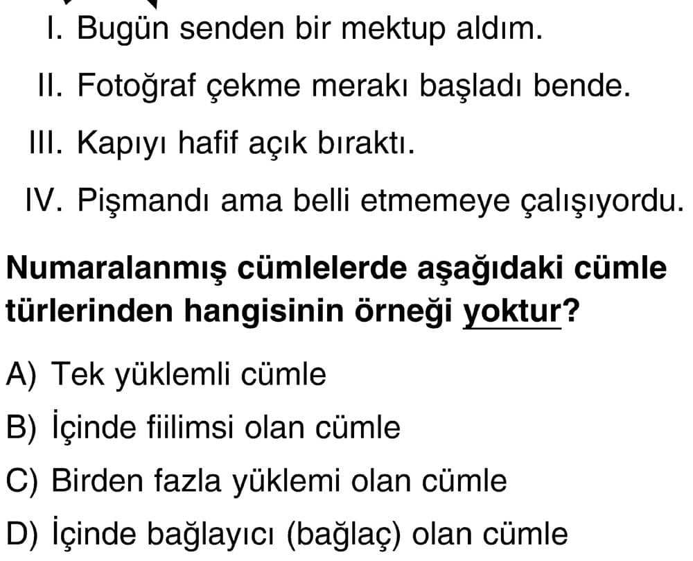 I. Bugün senden bir mektup aldım. II. Fotoğraf çekme merakı başladı bende. III. Kapıyı hafif açık