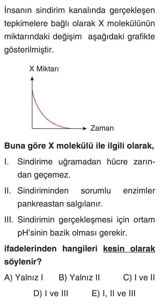 İnsanın sindirim kanalında gerçekleşen tepkimelere bağlı olarak X molekülünün miktarındaki değişim