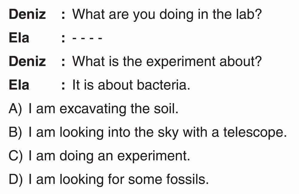 Deniz : What are you doing in the lab? Ela : - - - - Deniz : What is the experiment about? Ela : It