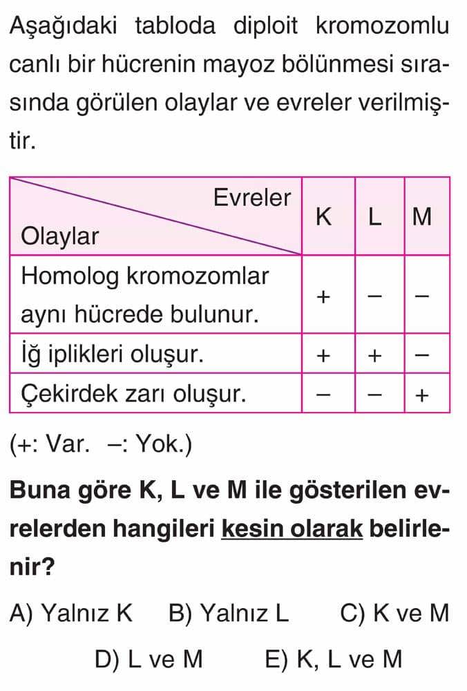 Aşağıdaki tabloda diploit kromozomlu canlı bir hücrenin mayoz bölünmesi sırasında görülen olaylar ve