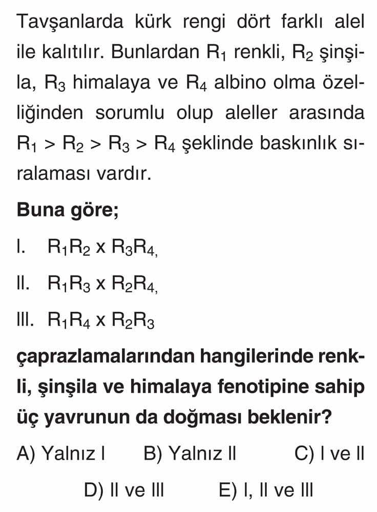 Tavşanlarda kürk rengi dört farklı alel ile kalıtılır. Bunlardan R₁ renkli, R₂ şinşila, R₃ himalaya