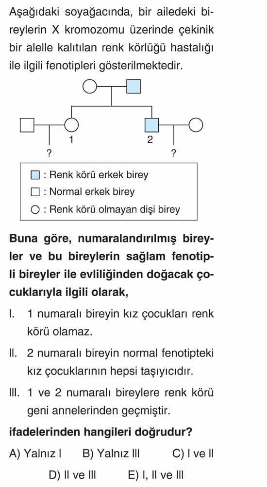 Aşağıdaki soyağacında, bir ailedeki bireylerin X kromozomu üzerinde çekinik bir alelle kalıtılan