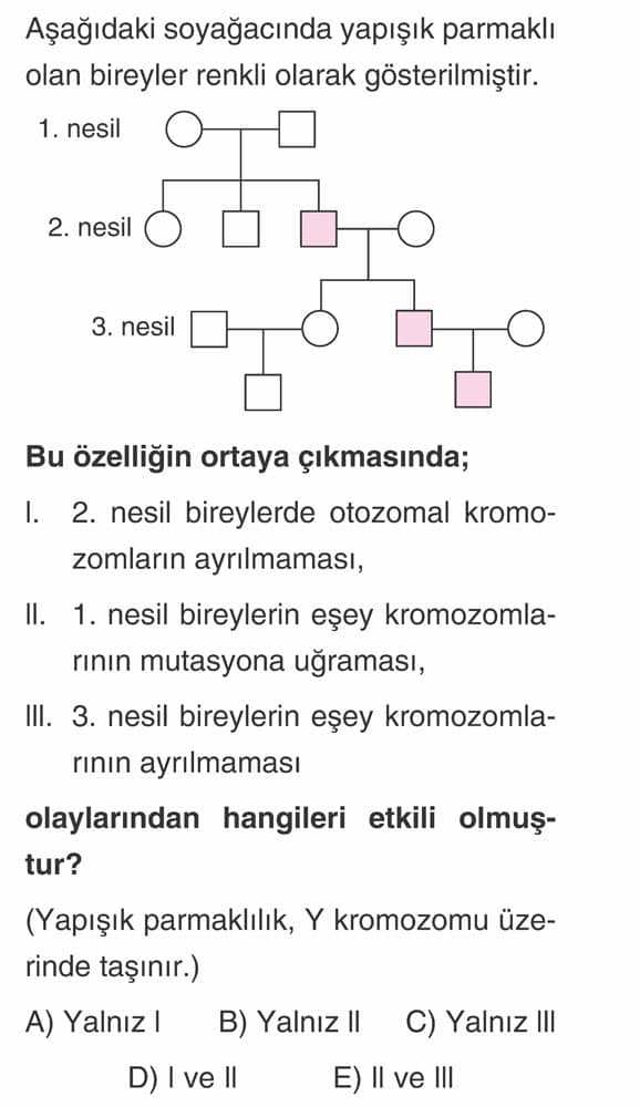 Aşağıdaki soyağacında yapışık parmaklı olan bireyler renkli olarak gösterilmiştir. 1. nesil [daire