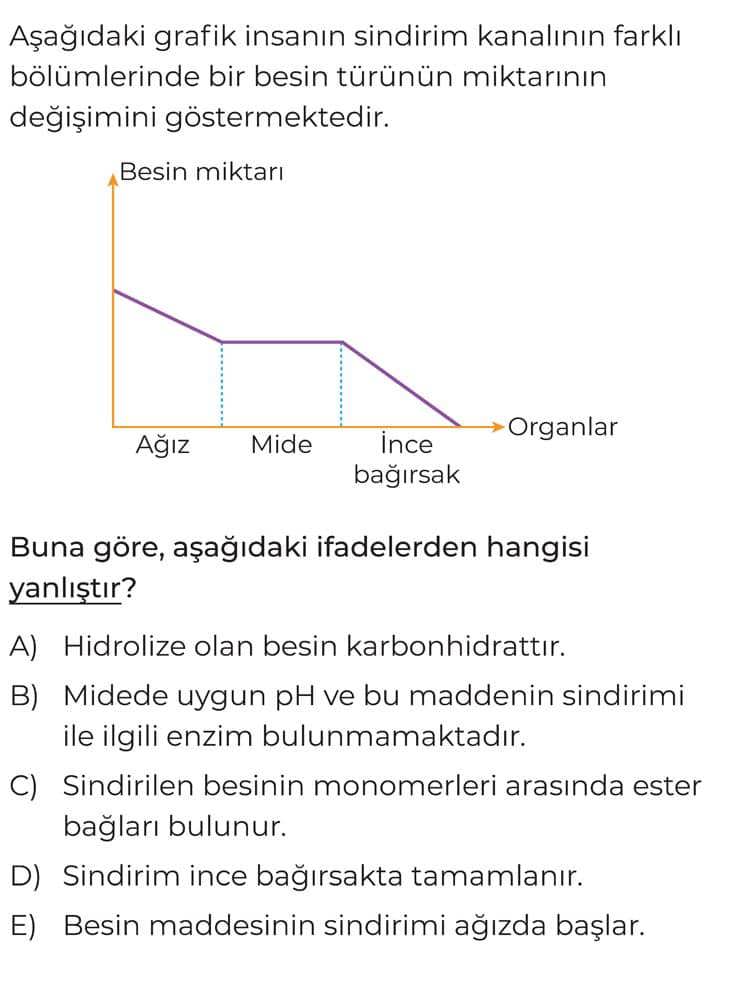 Aşağıdaki grafik insanın sindirim kanalının farklı bölümlerinde bir besin türünün miktarının
