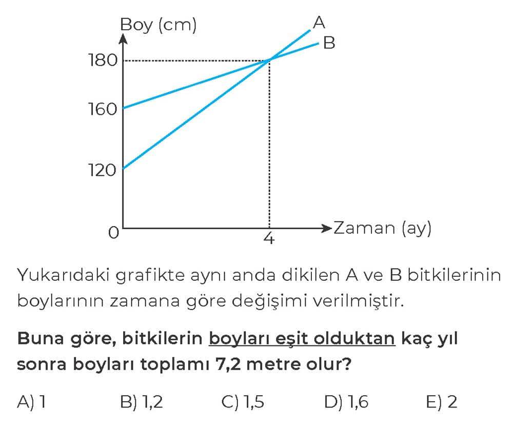 Yukarıdaki grafikte aynı anda dikilen A ve B bitkilerinin boylarının zamana göre değişimi