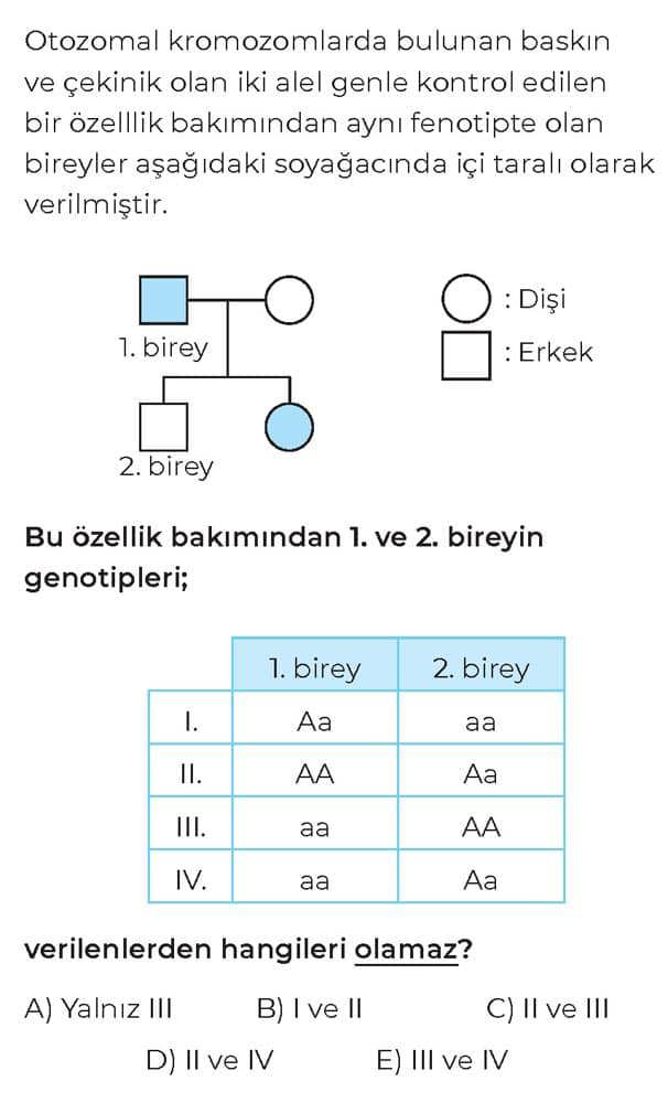 Otozomal kromozomlarda bulunan baskın ve çekinik olan iki alel genle kontrol edilen bir özellik