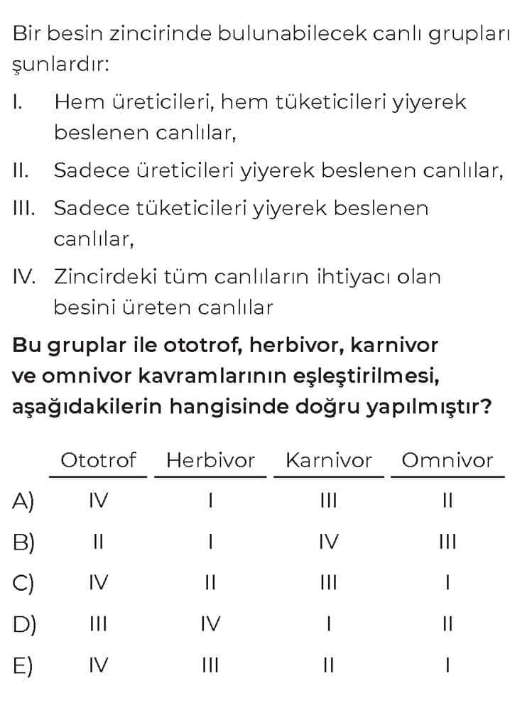 Bir besin zincirinde bulunabilecek canlı grupları şunlardır: I. Hem üreticileri, hem tüketicileri