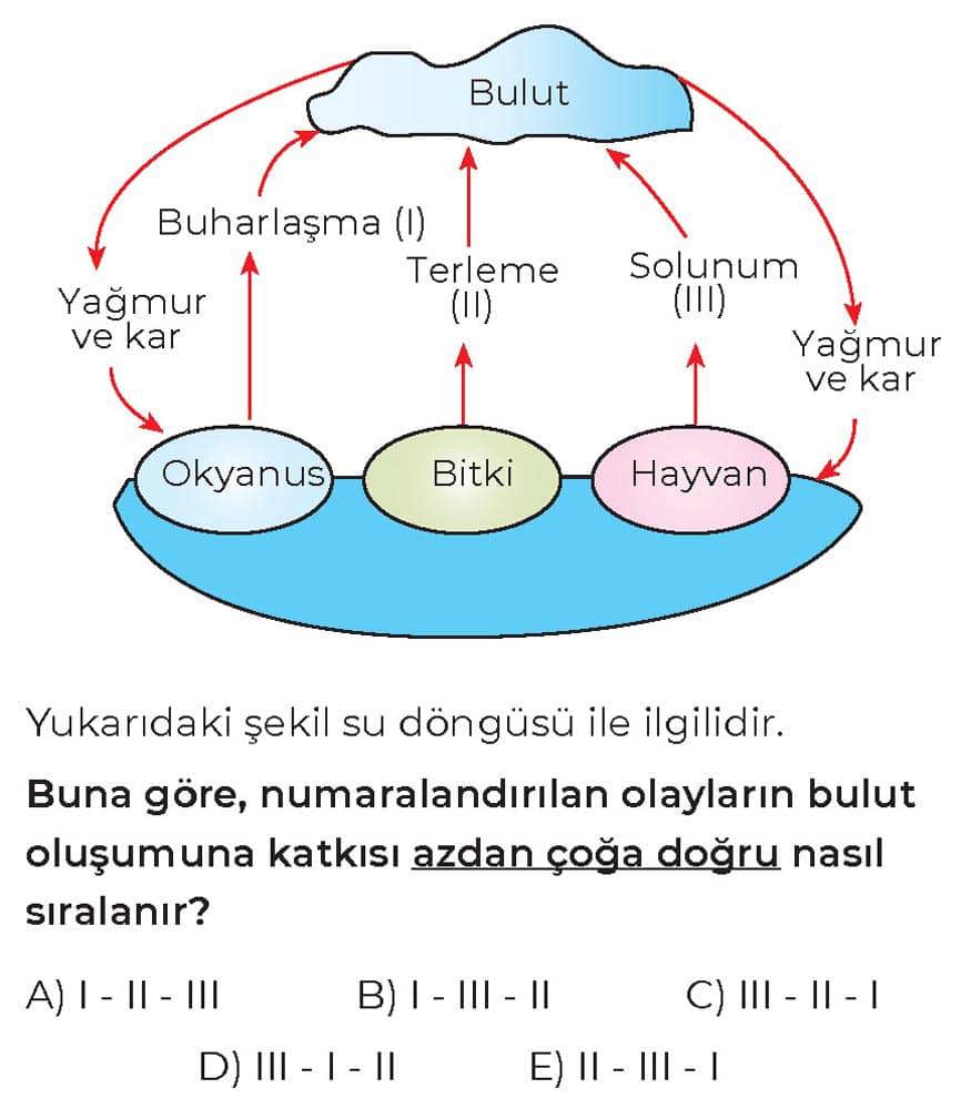 Yukarıdaki şekil su döngüsü ile ilgilidir. Buna göre, numaralandırılan olayların bulut oluşumuna