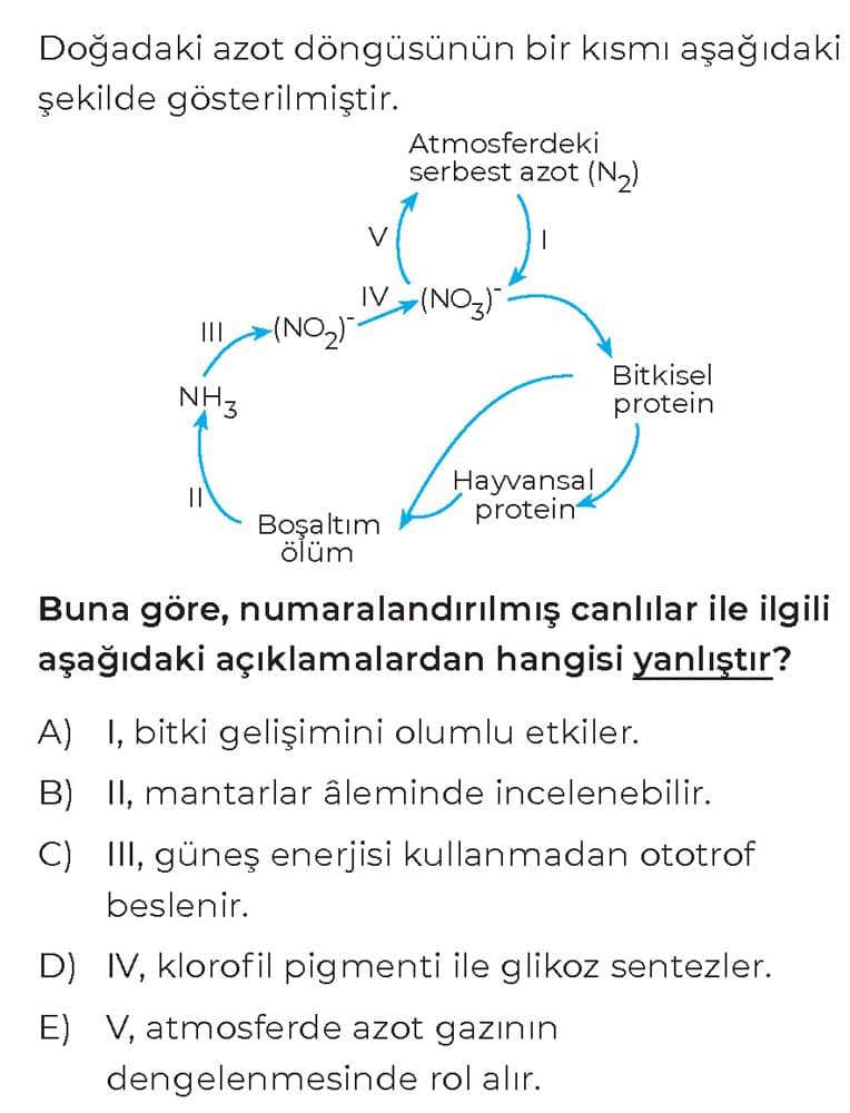 Doğadaki azot döngüsünün bir kısmı aşağıdaki şekilde gösterilmiştir. Buna göre, numaralandırılmış