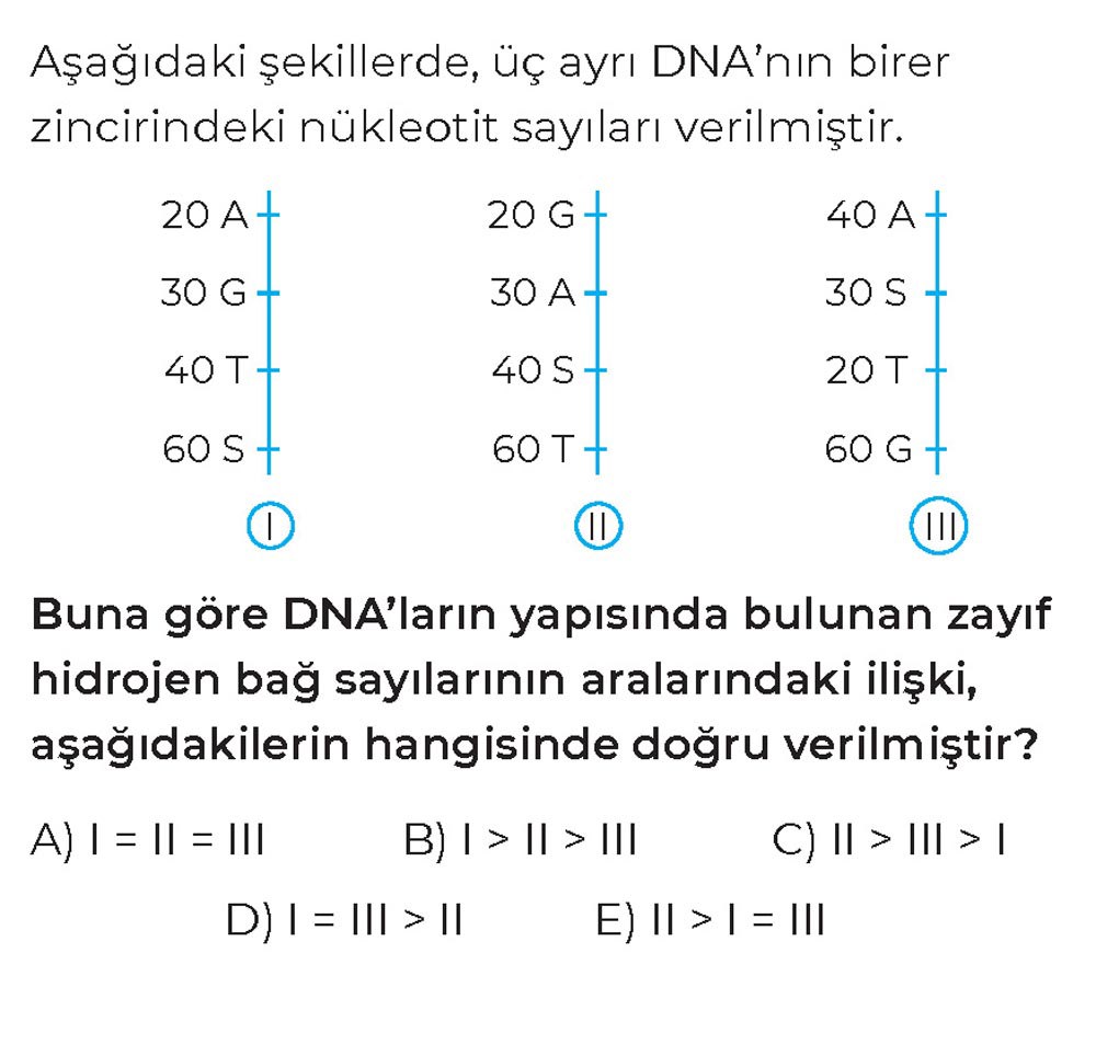 Aşağıdaki şekillerde, üç ayrı DNA'nın birer zincirindeki nükleotit sayıları verilmiştir. 20 A + 20 G