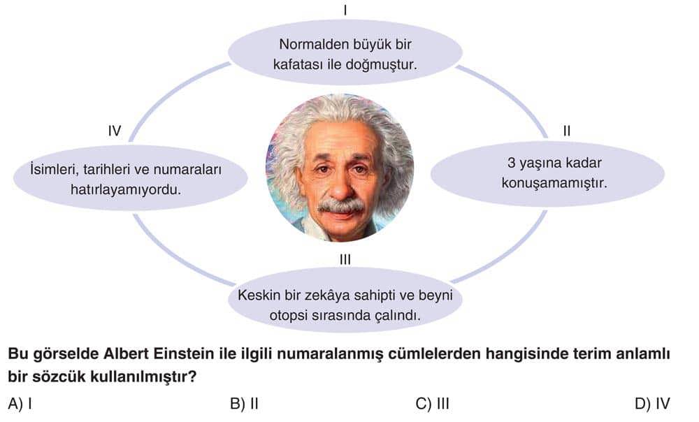 Bu görselde Albert Einstein ile ilgili numaralanmış cümlelerden hangisinde terim anlamlı bir sözcük