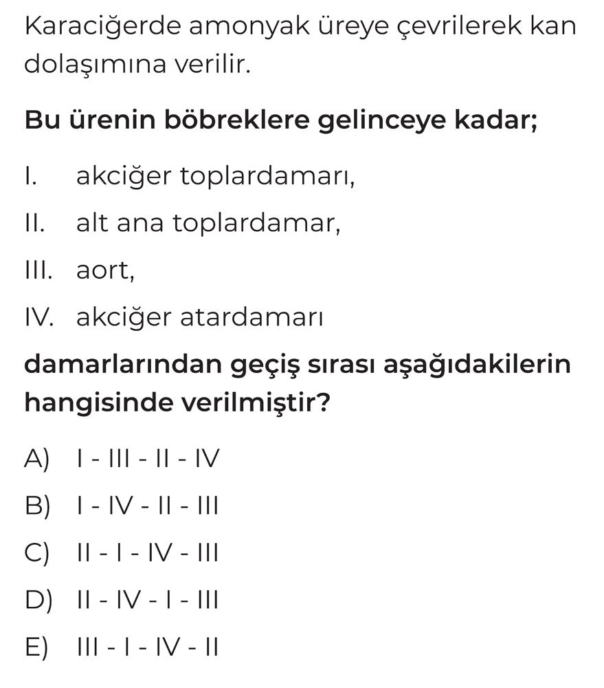 Karaciğerde amonyak üreye çevrilerek kan dolaşımına verilir. Bu ürenin böbreklere gelinceye kadar