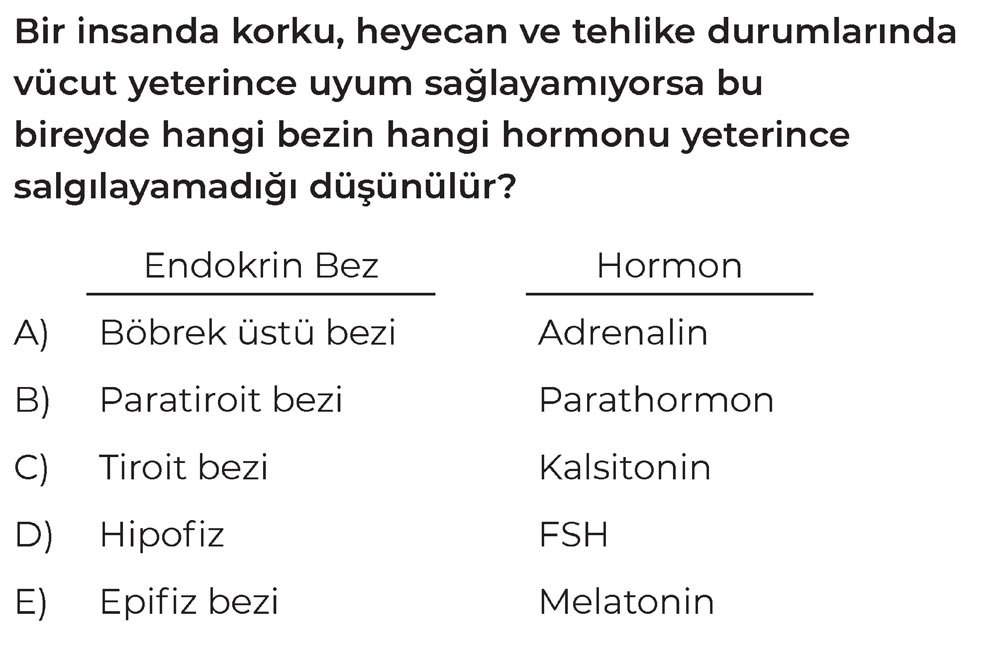 Bir insanda korku, heyecan ve tehlike durumlarında vücut yeterince uyum sağlayamıyorsa bu bireyde