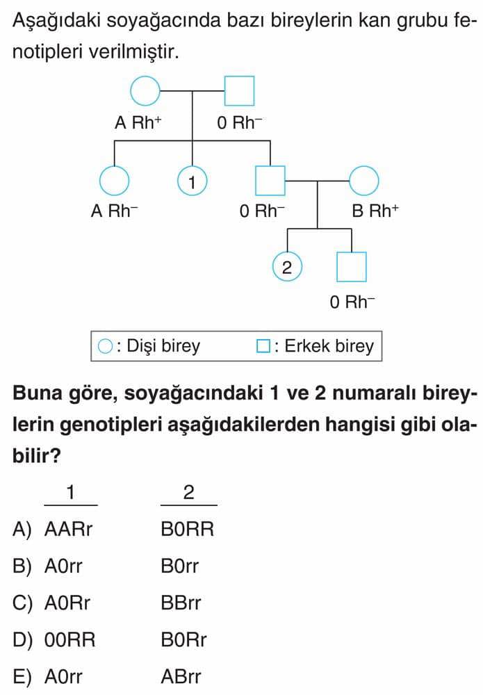 Aşağıdaki soyağacında bazı bireylerin kan grubu fenotipleri verilmiştir. Buna göre, soyağacındaki 1