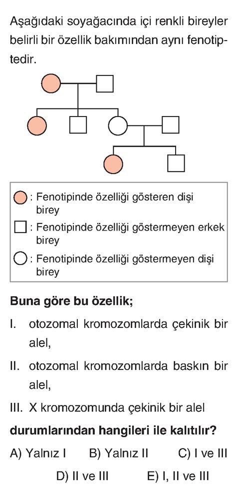 Aşağıdaki soyağacında içi renkli bireyler belirli bir özellik bakımından aynı fenotiptedir. ○