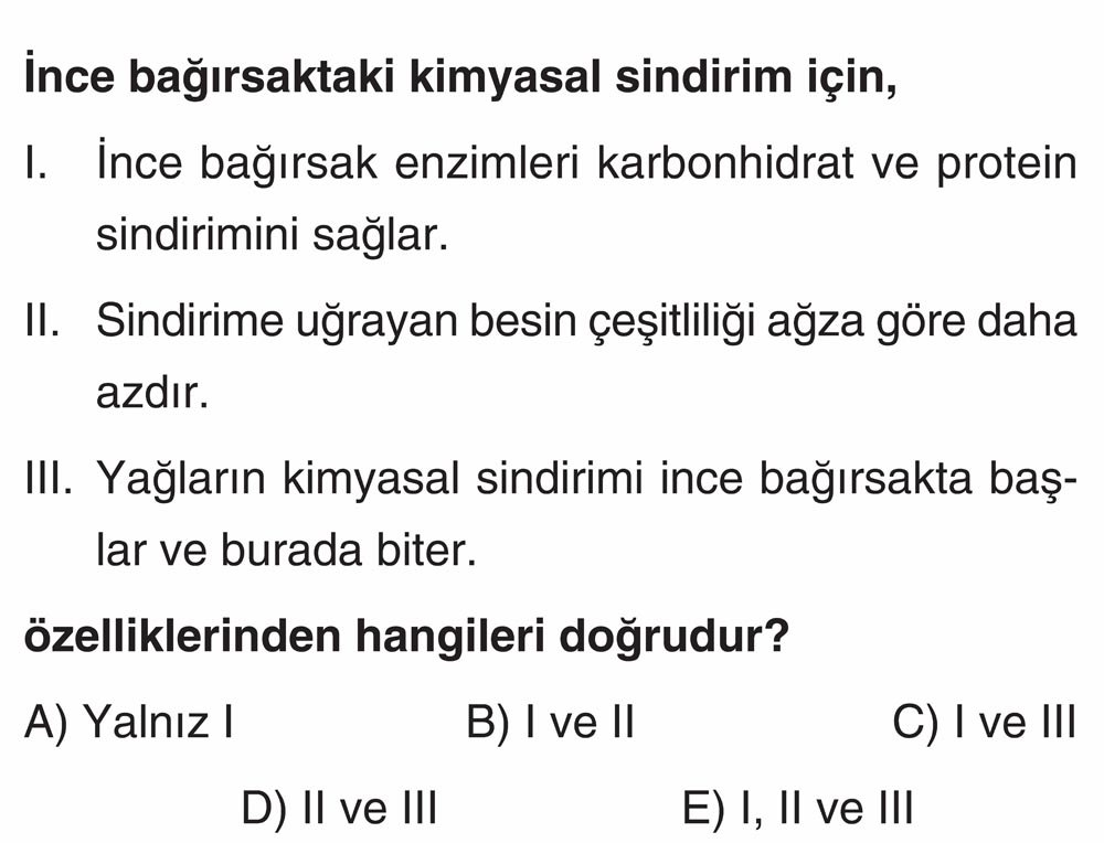 İnce bağırsaktaki kimyasal sindirim için, I. İnce bağırsak enzimleri karbonhidrat ve protein