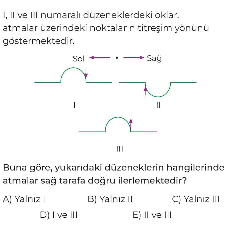 I, II ve III numaralı düzeneklerdeki oklar, atmalar üzerindeki noktaların titreşim yönünü