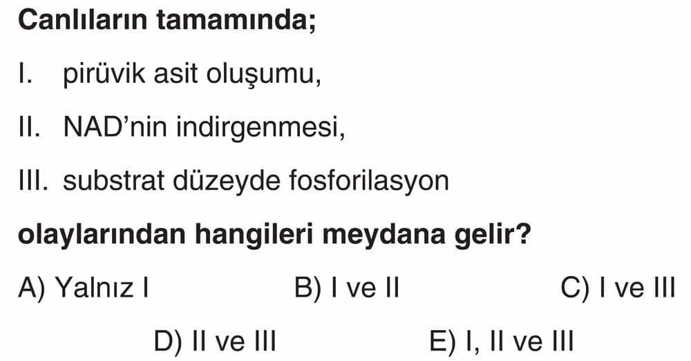 Canlıların tamamında; I. pirüvik asit oluşumu, II. NAD'nin indirgenmesi, III. substrat düzeyde