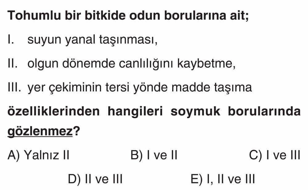 Tohumlu bir bitkide odun borularına ait; I. suyun yanal taşınması, II. olgun dönemde canlılığını
