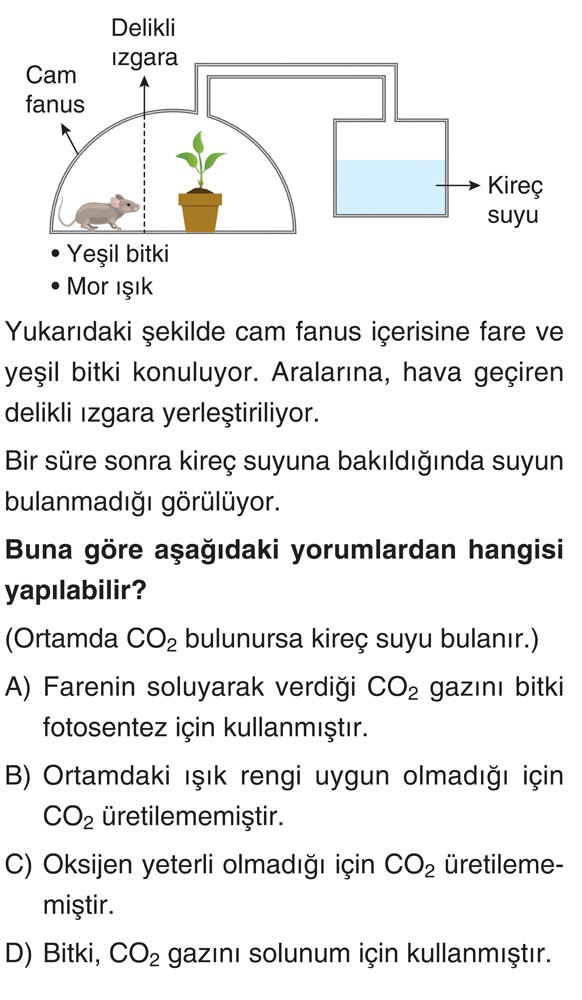 Yukarıdaki şekilde cam fanus içerisine fare ve yeşil bitki konuluyor. Aralarına, hava geçiren