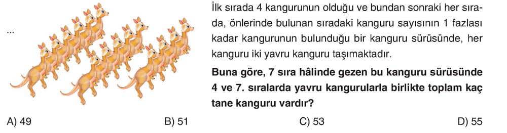 İlk sırada 4 kangurunun olduğu ve bundan sonraki her sırada, önlerinde bulunan sıradaki kanguru