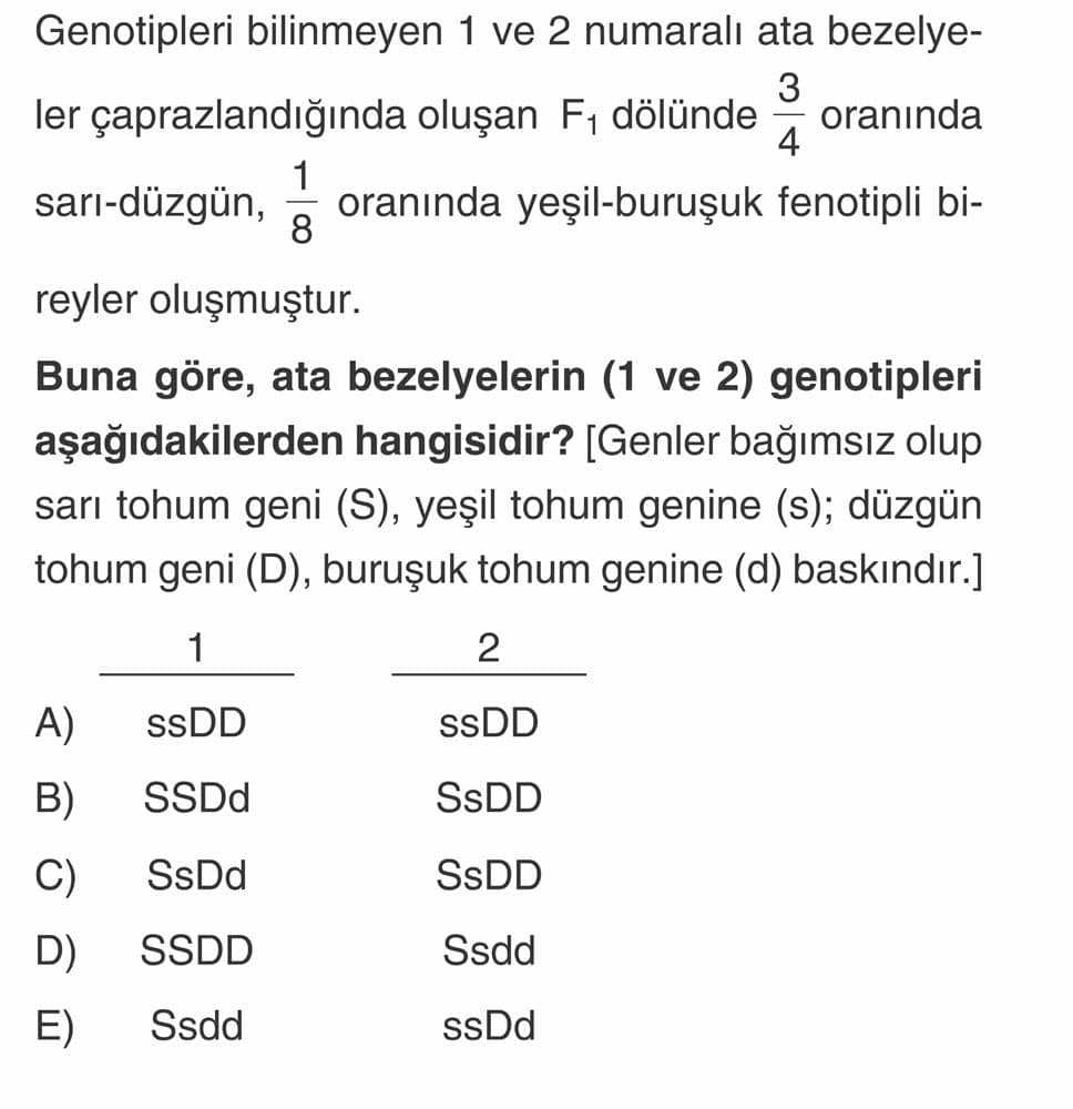 Genotipleri bilinmeyen 1 ve 2 numaralı ata bezelyeler çaprazlandığında oluşan F₁ dölünde 3/4