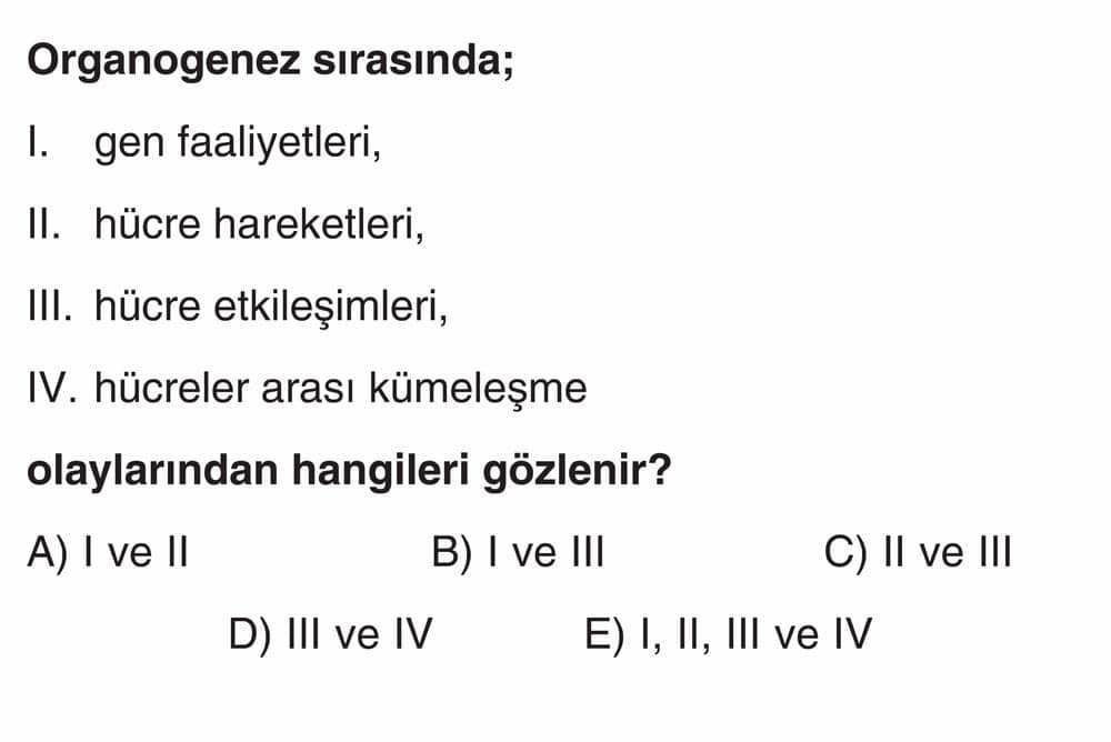 Organogenez sırasında; I. gen faaliyetleri, II. hücre hareketleri, III. hücre etkileşimleri, IV