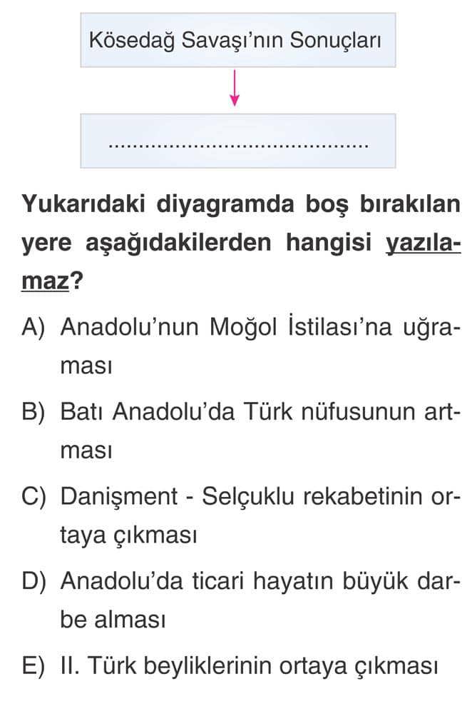 Yukarıdaki diyagramda boş bırakılan yere aşağıdakilerden hangisi yazılamaz?